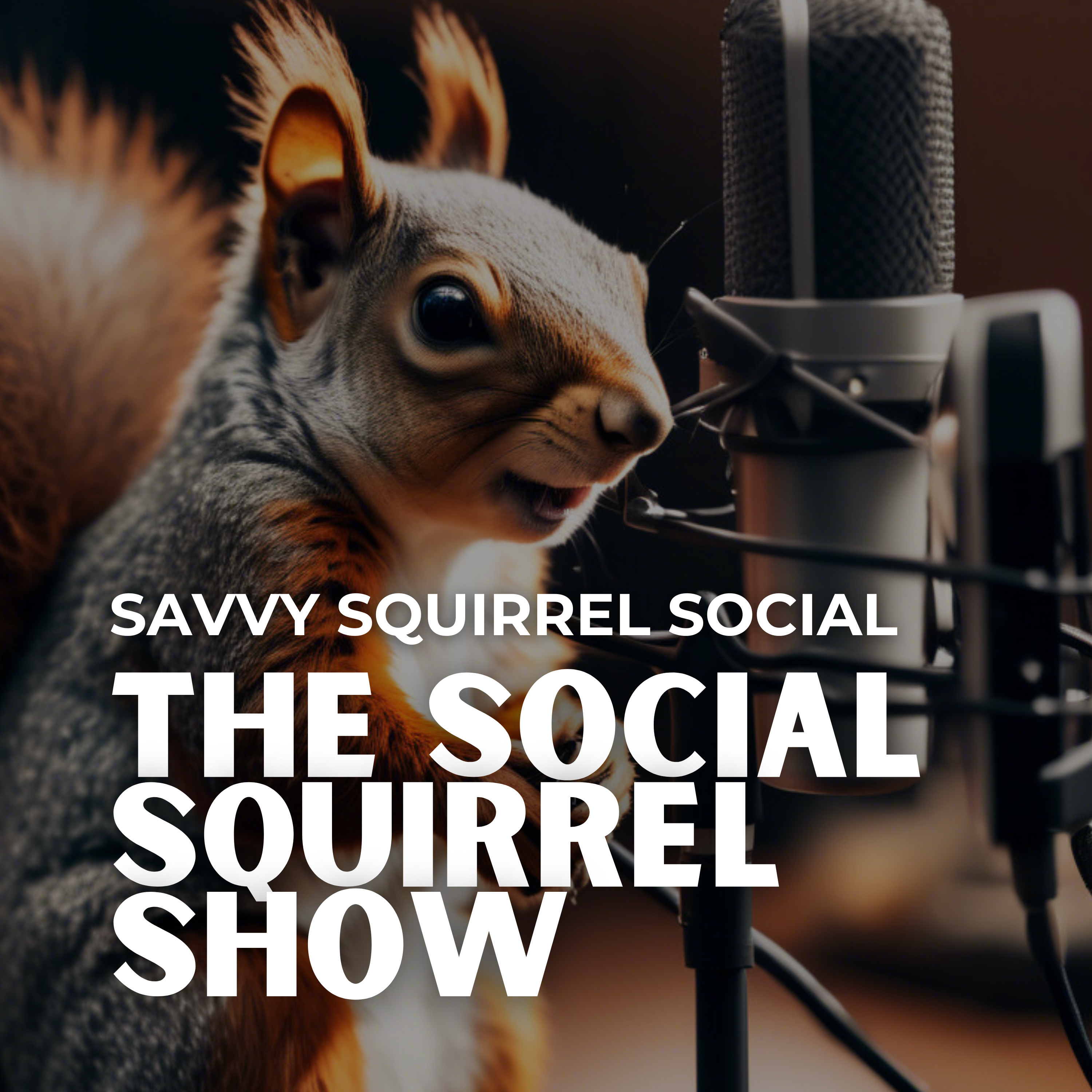 The Social Squirrel Show