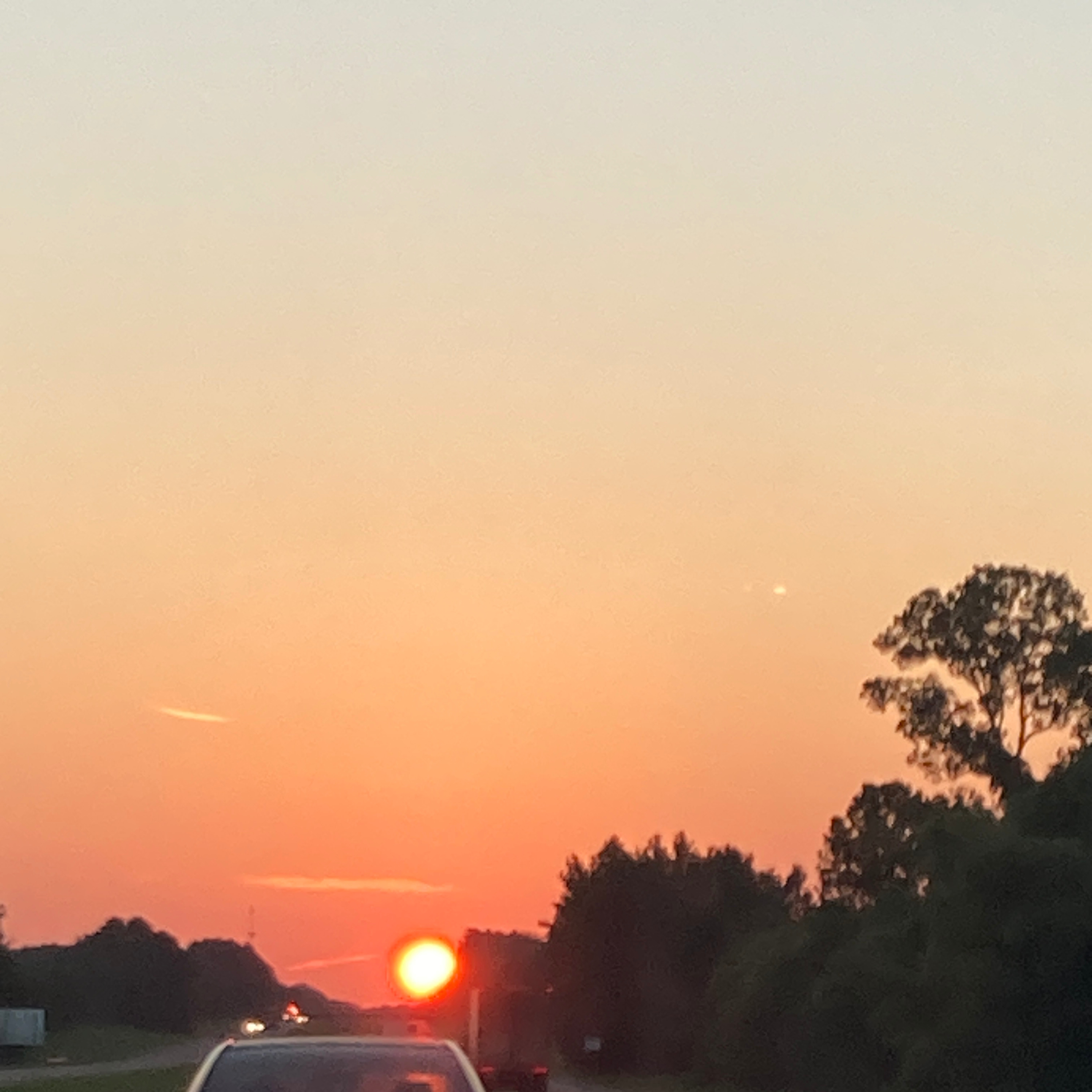 Giant Pasitos Vocabulario / Vocabulary 