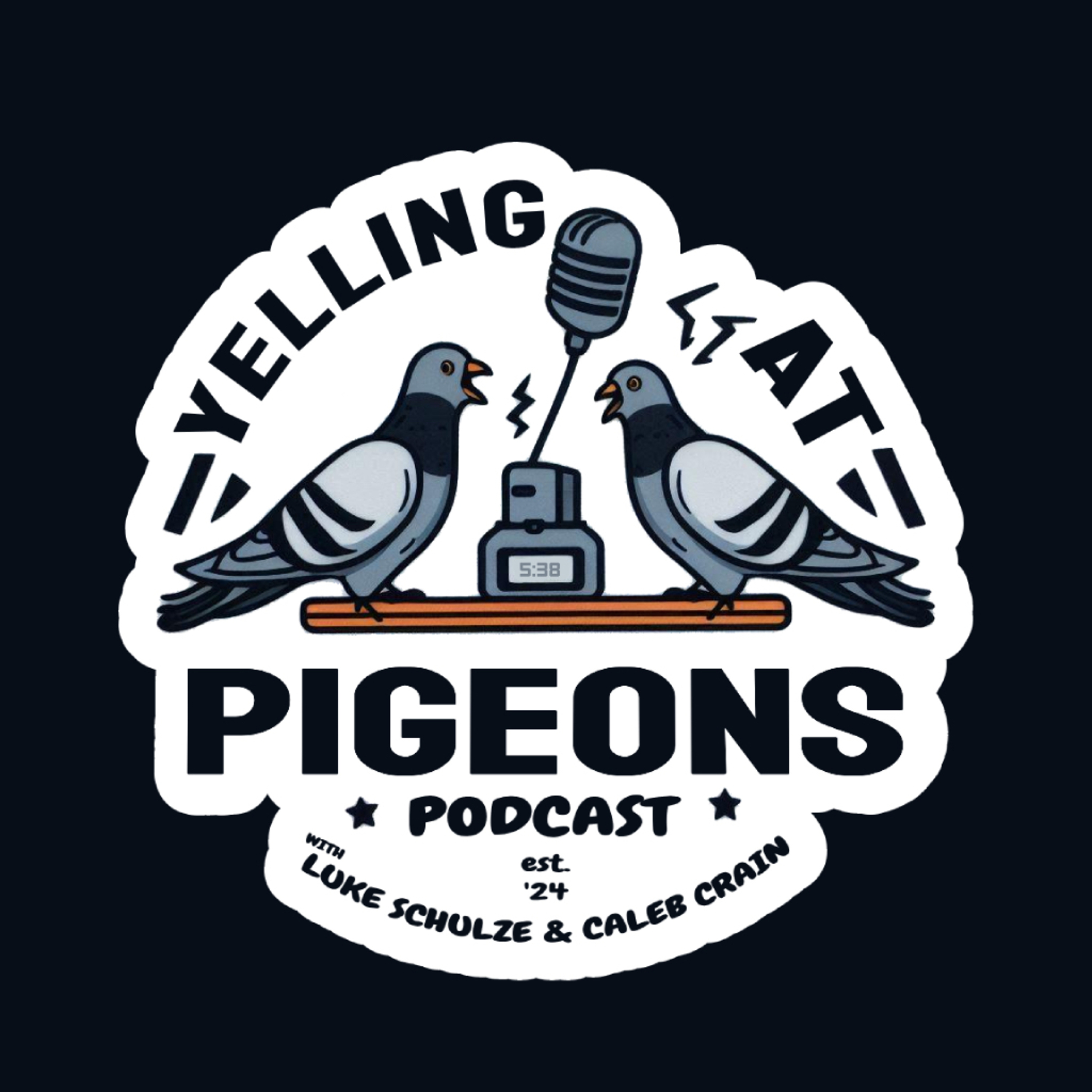 Yelling At Pigeons cover art