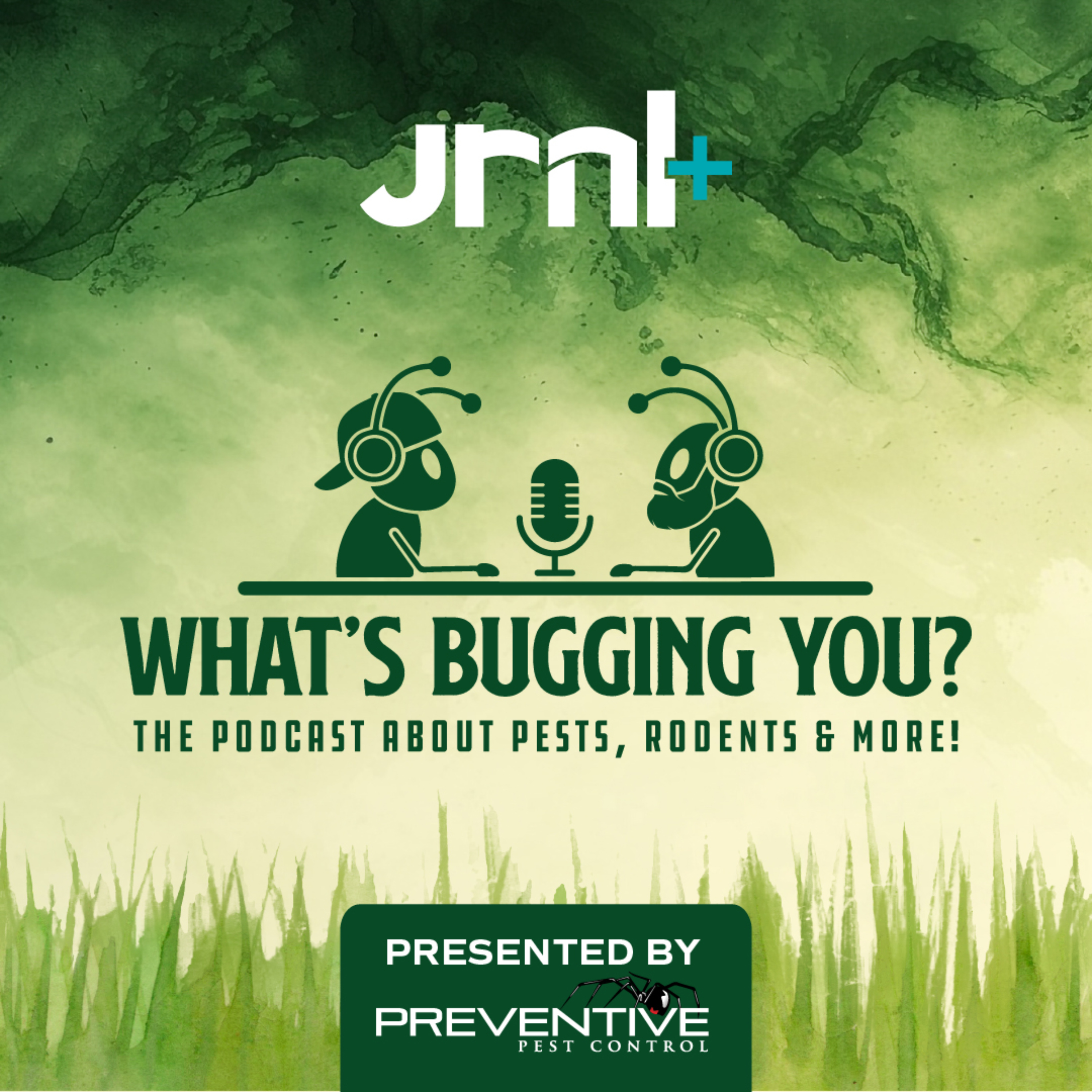 What\'s Bugging You?