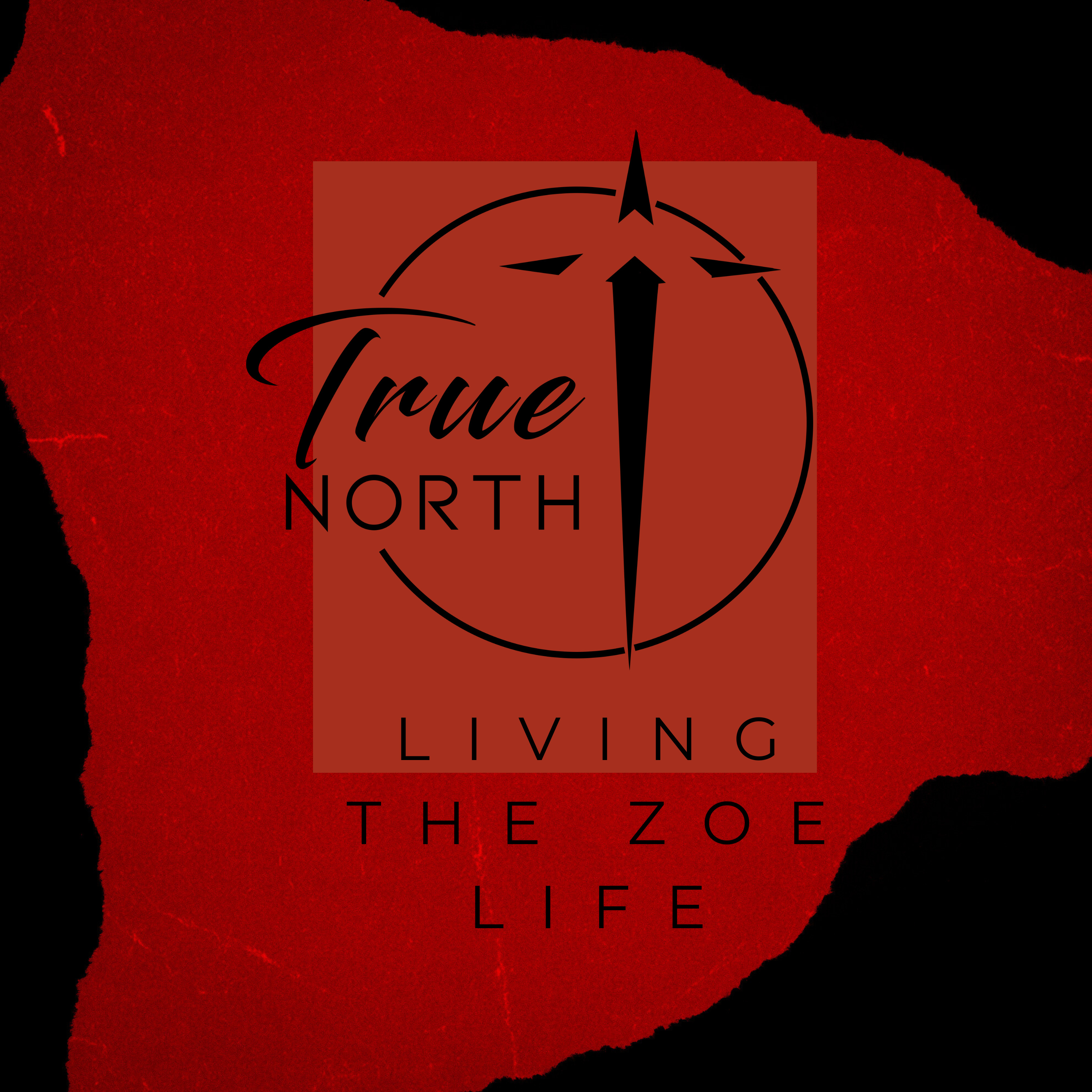 Living The Zoe Life