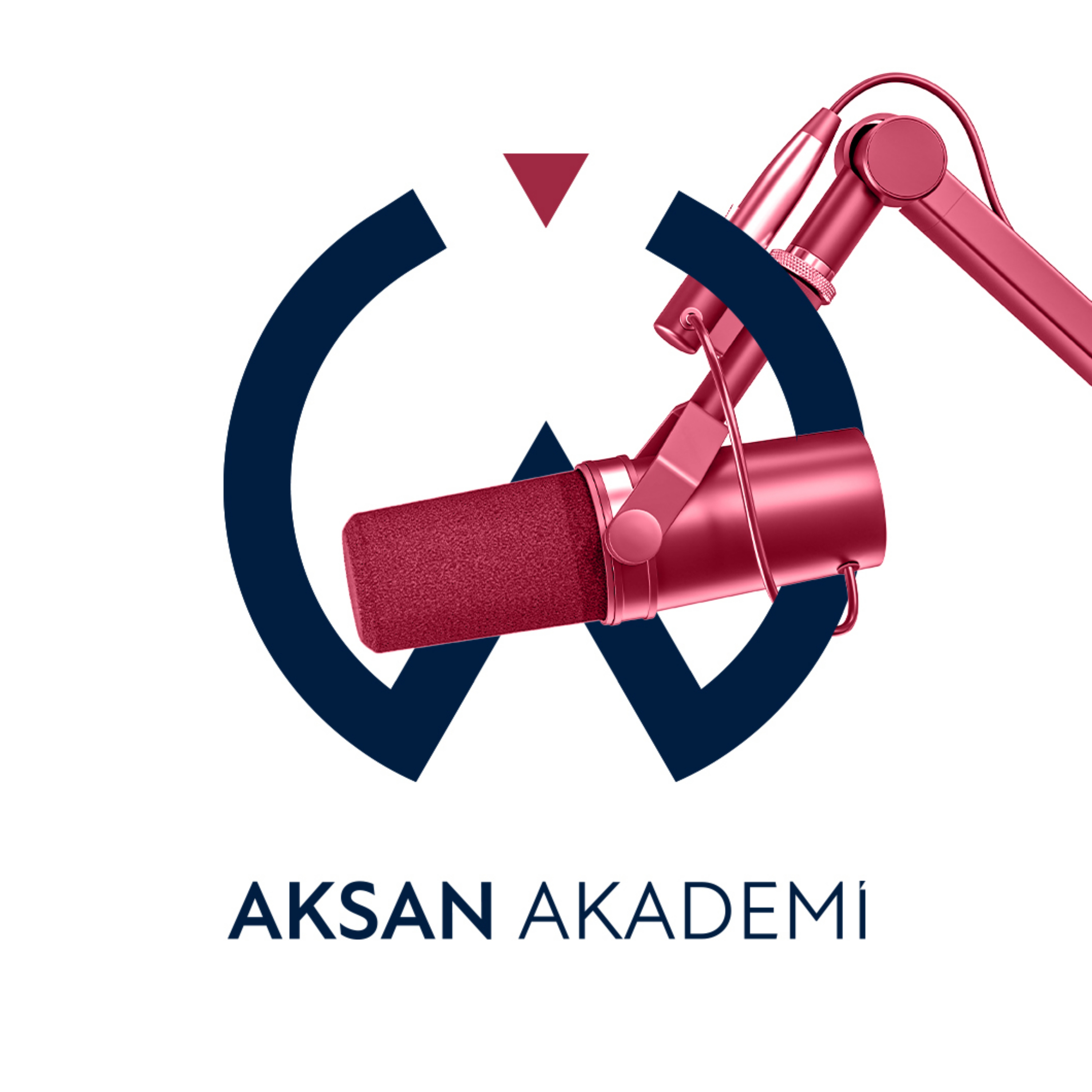 Aksan Akademi