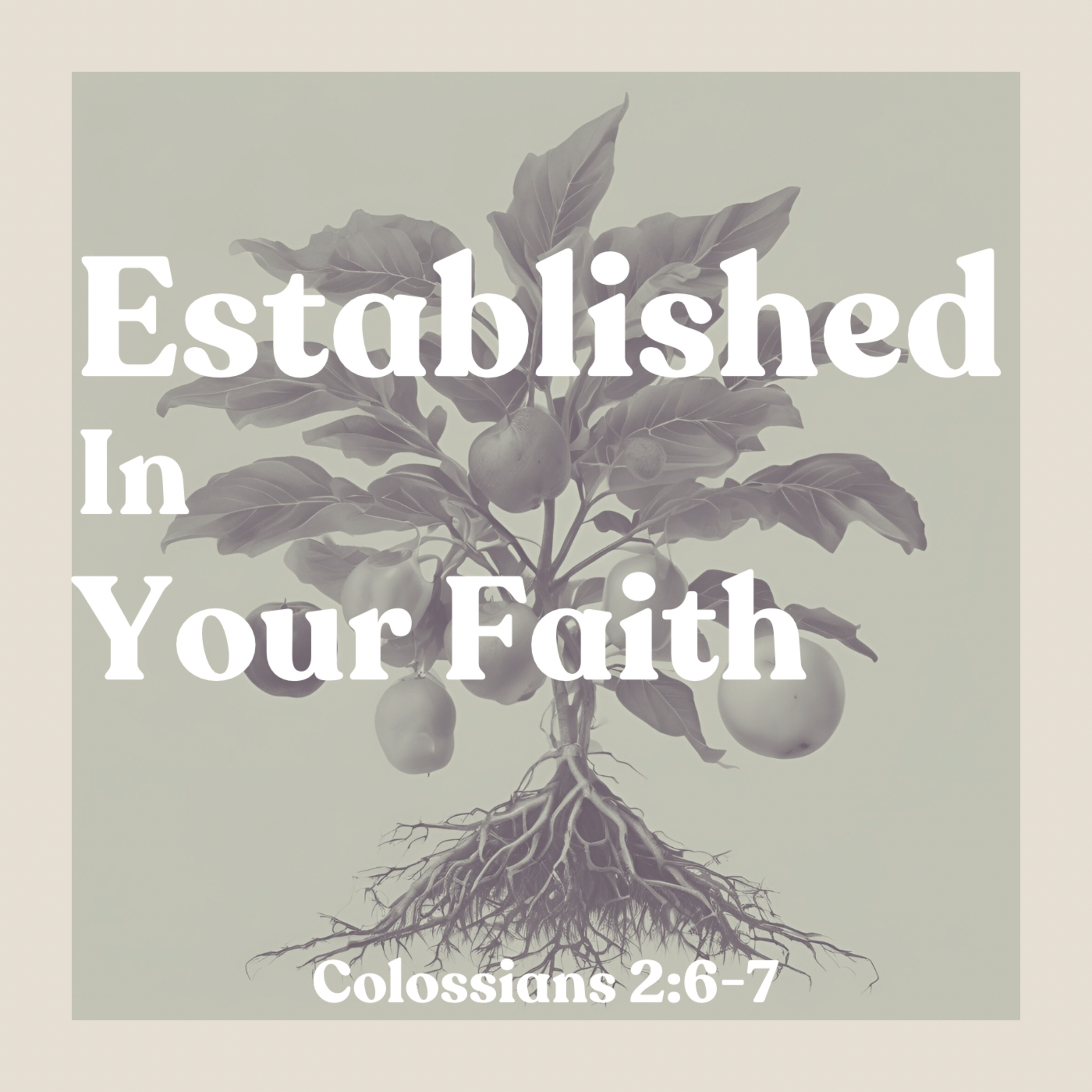 Established in Your Faith