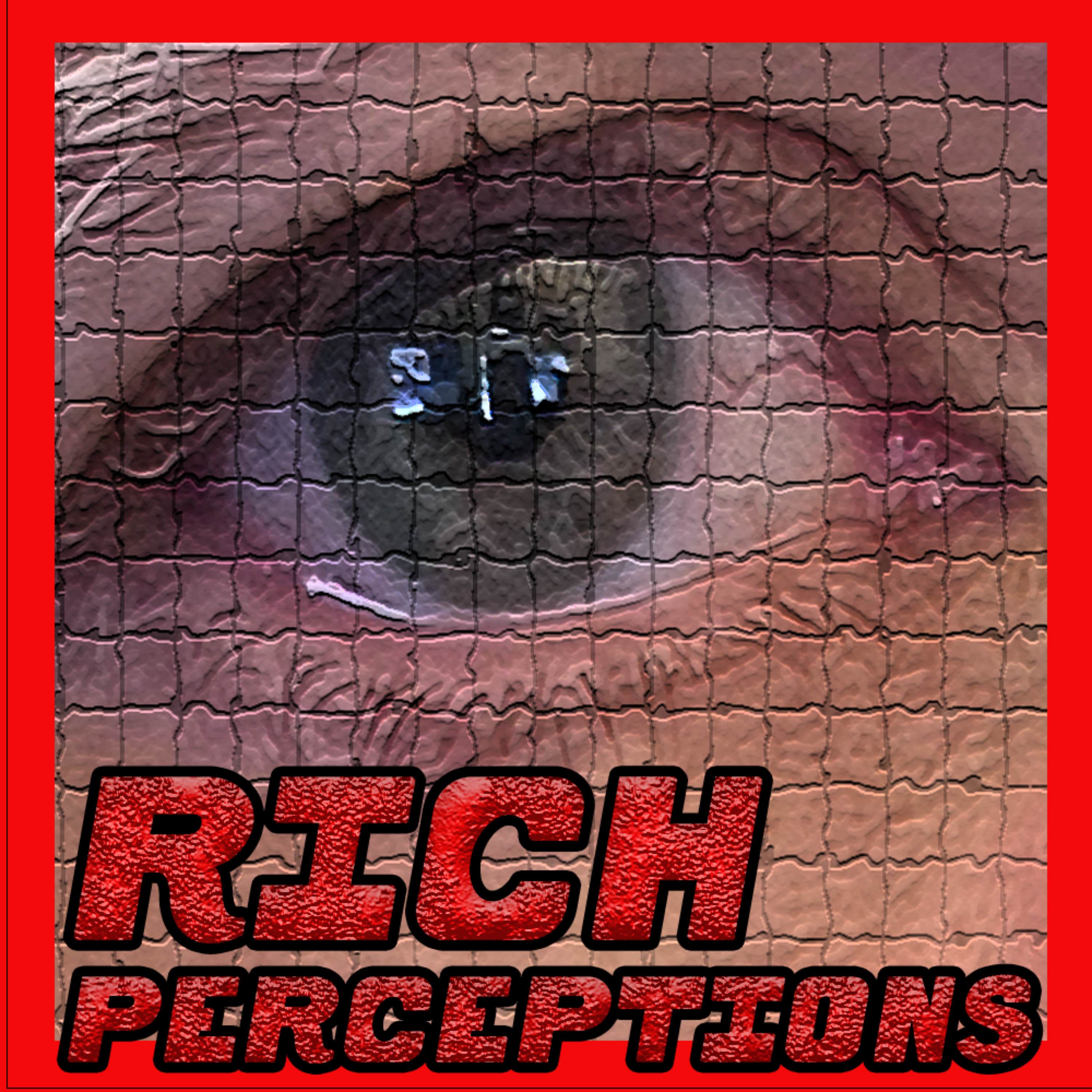 Rich Perceptions