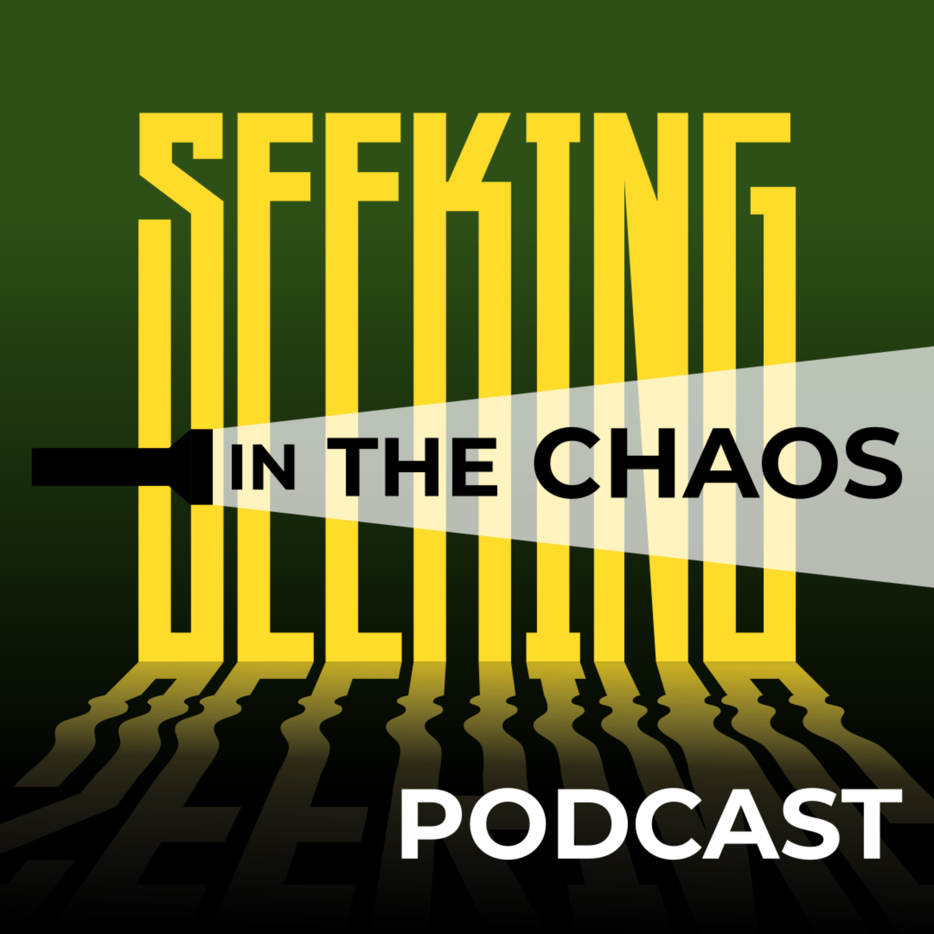Seeking in the Chaos podcast artwork