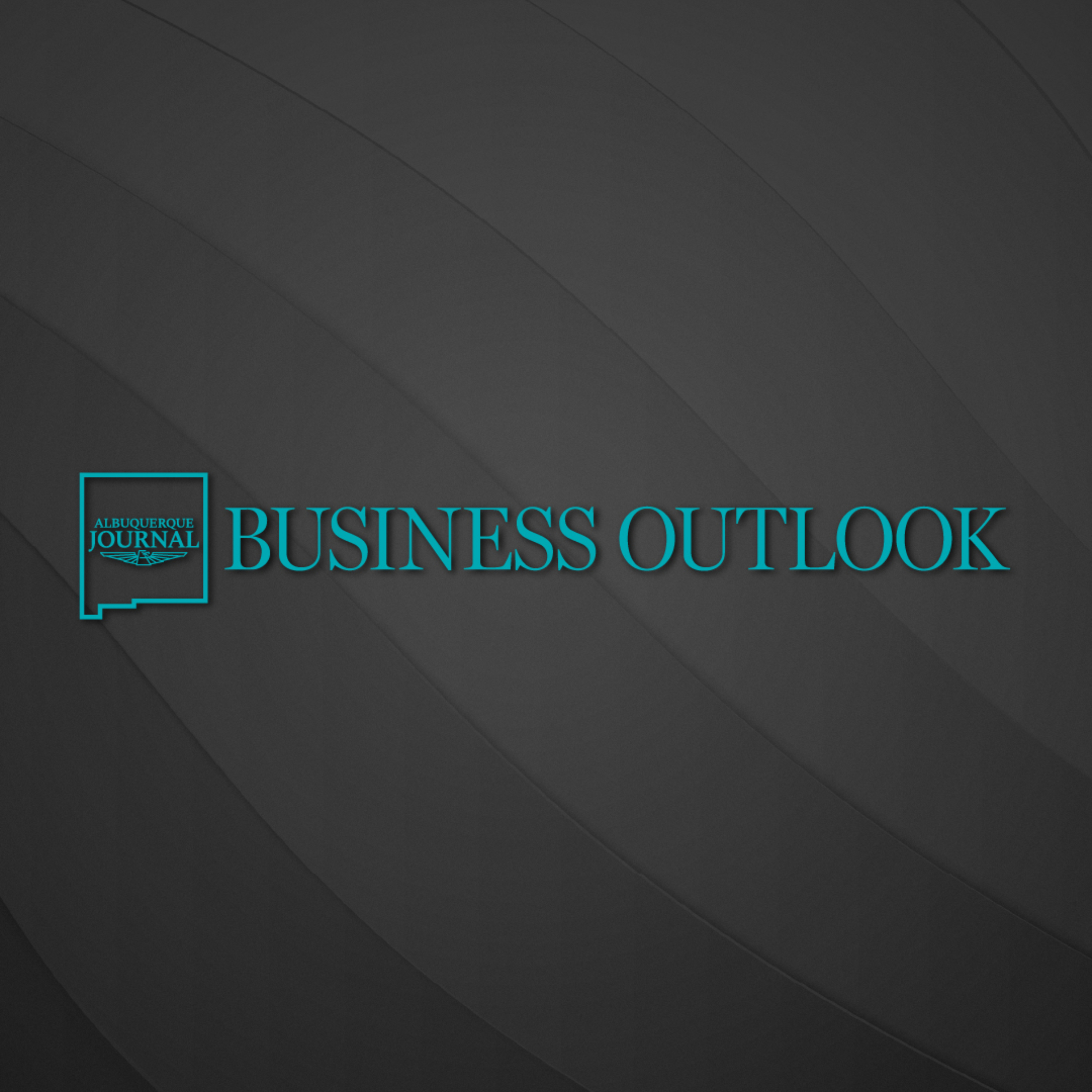 Business Outlook