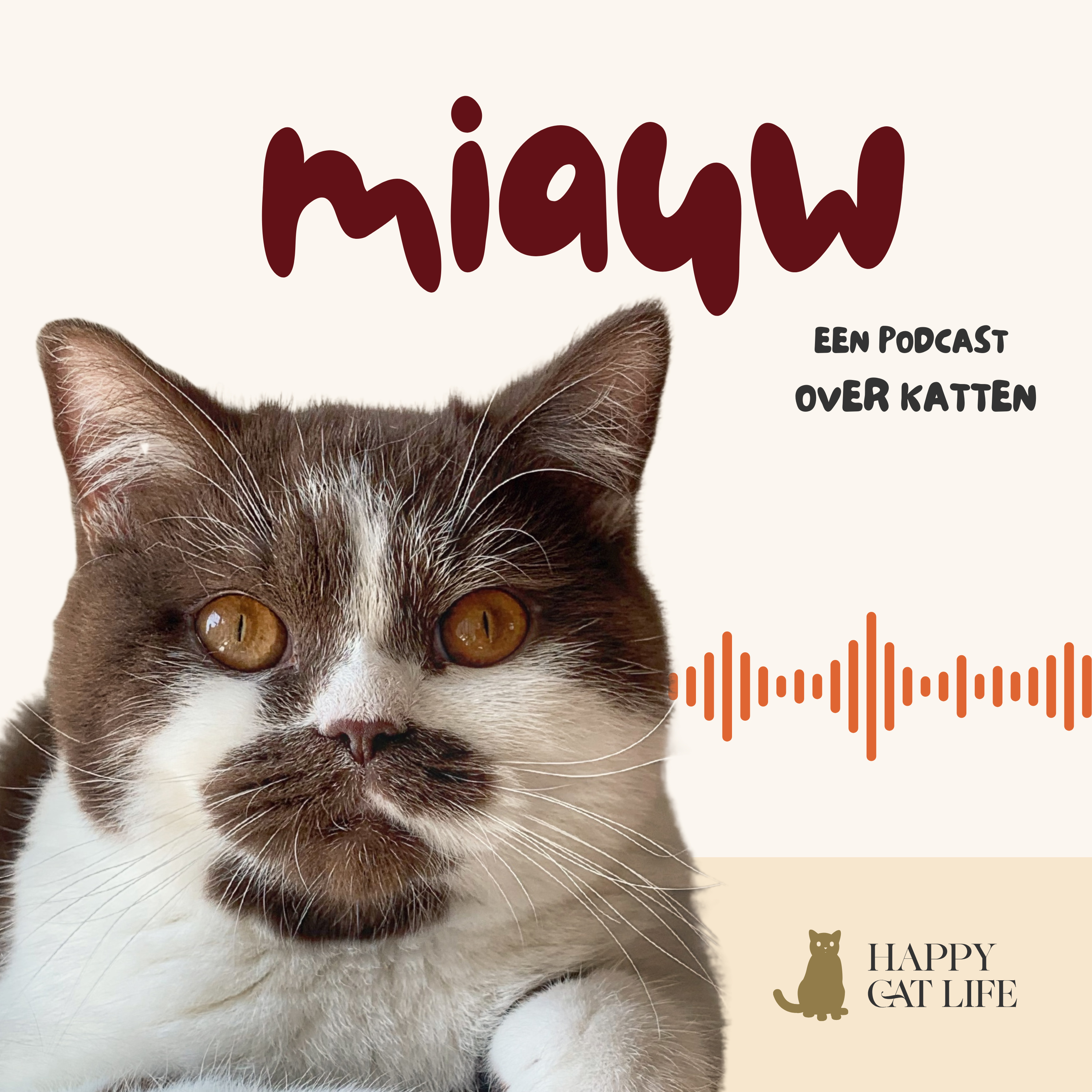 Miauw, een podcast over katten
