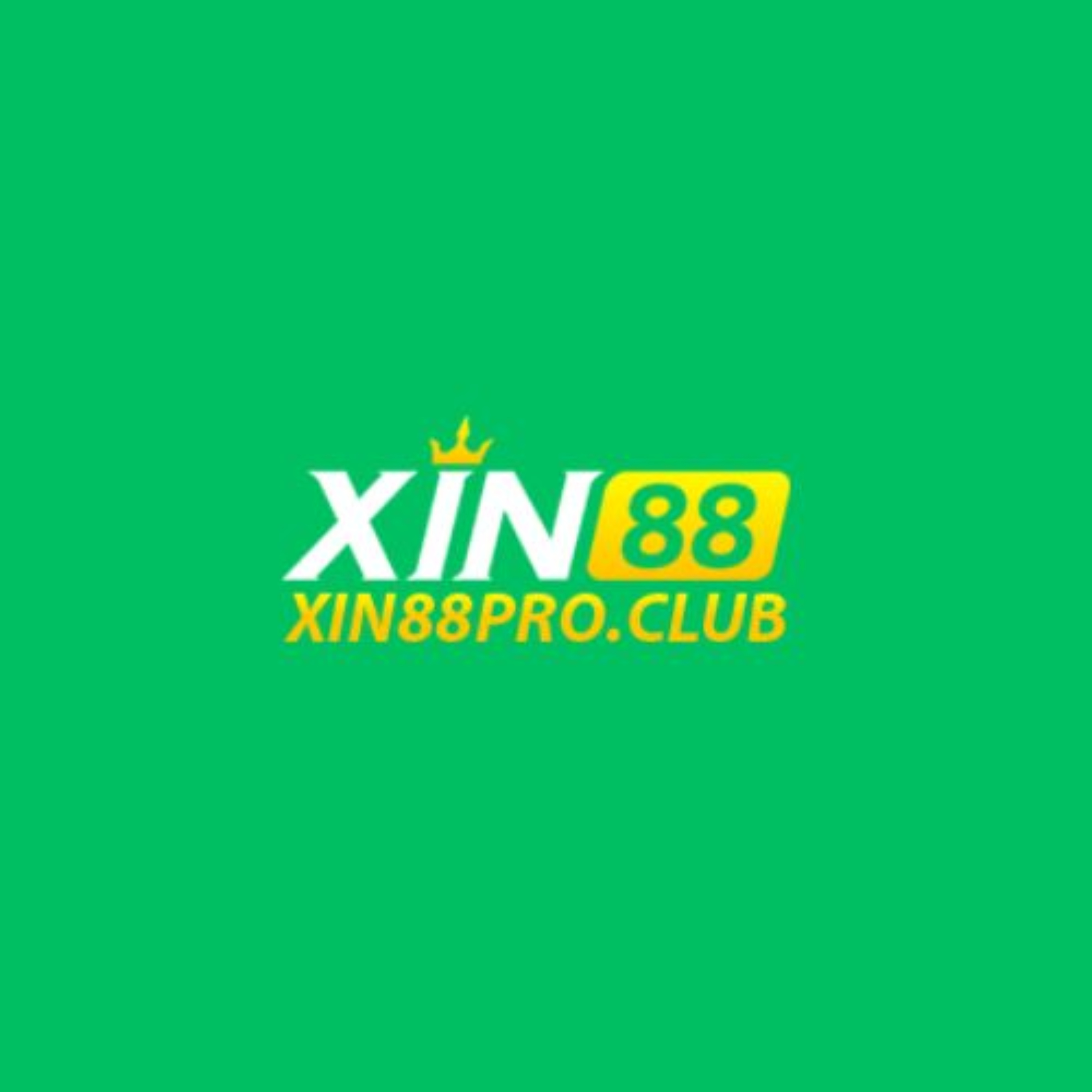 XIN88 PRO podcast artwork