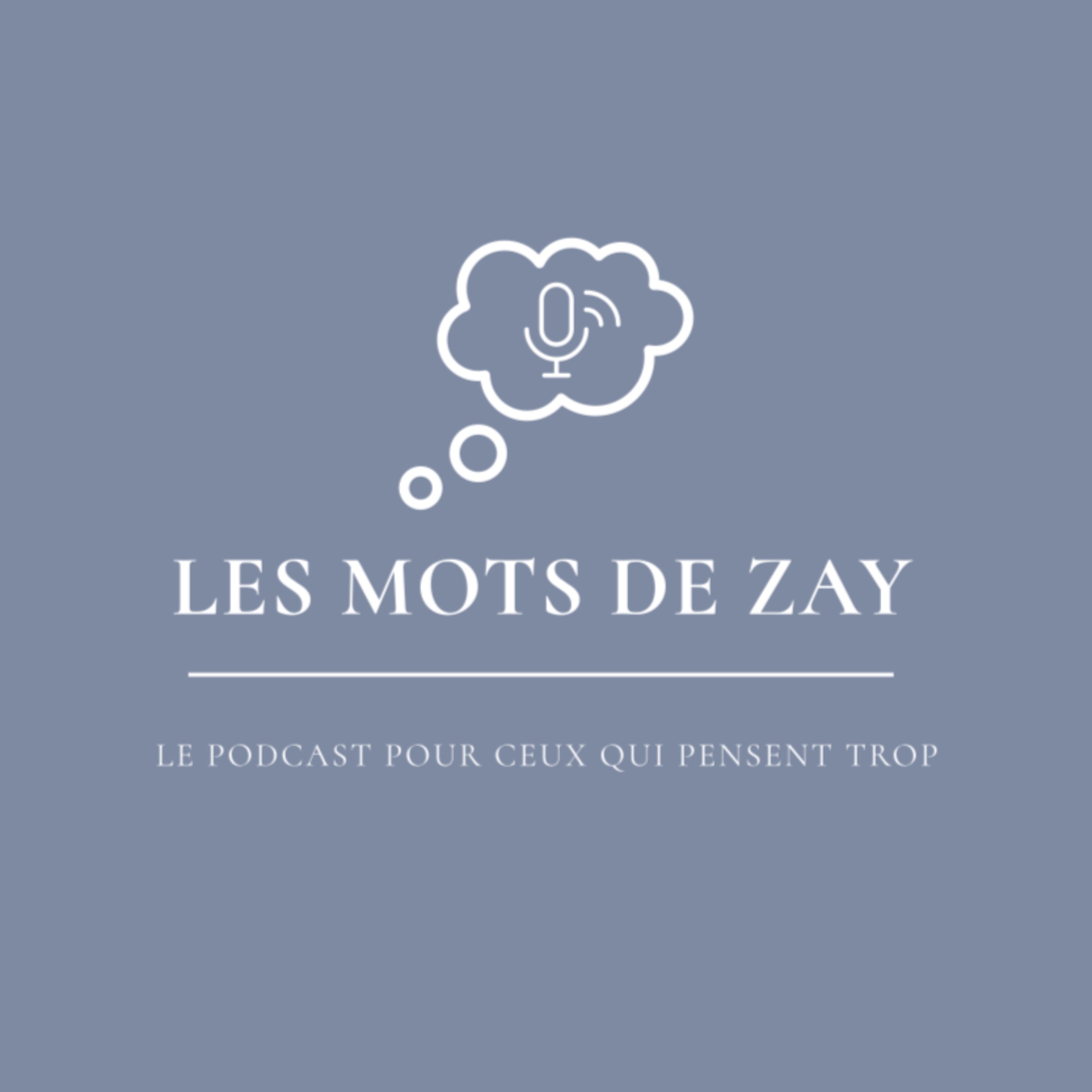 Les mots de Zay