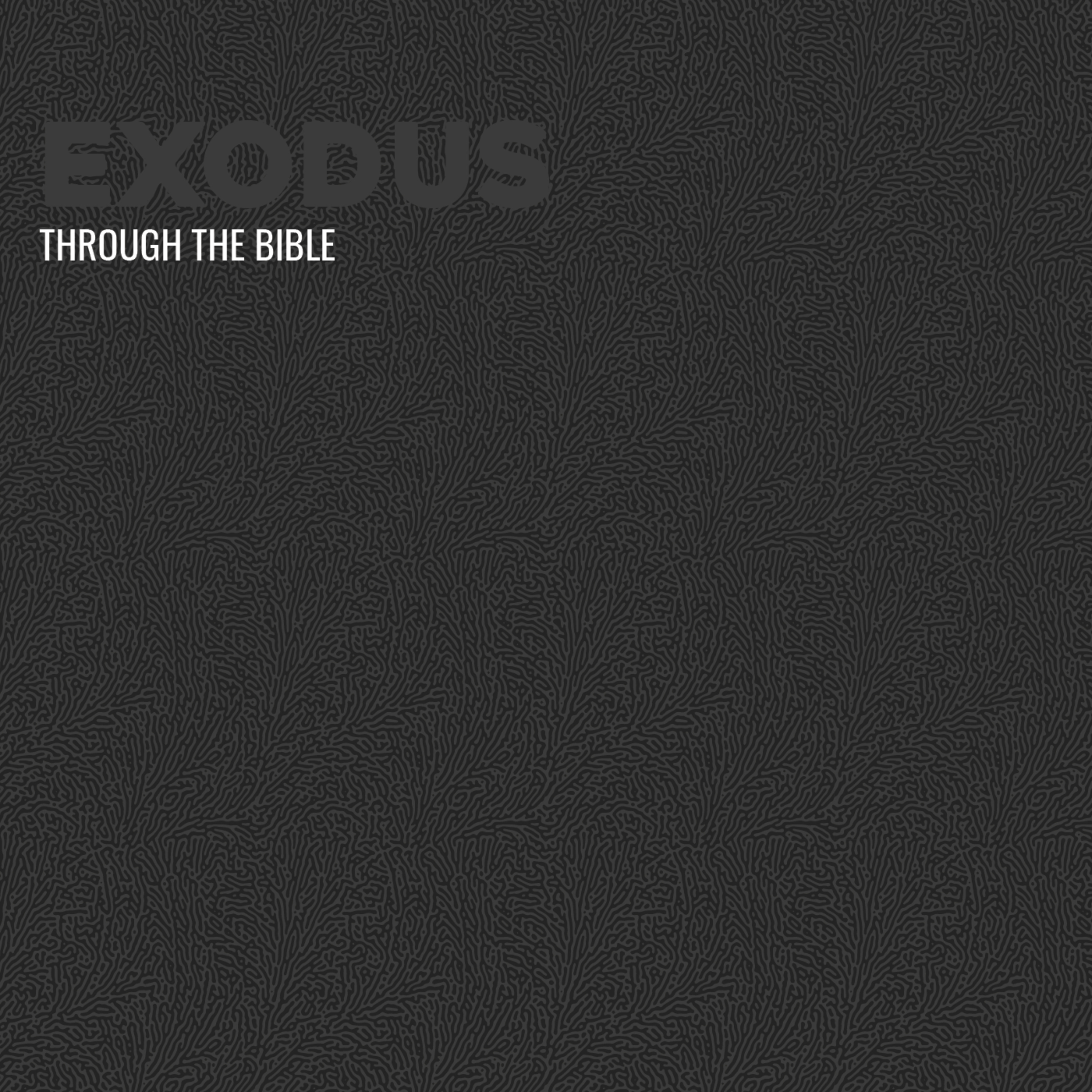 Through the Bible - Exodus
