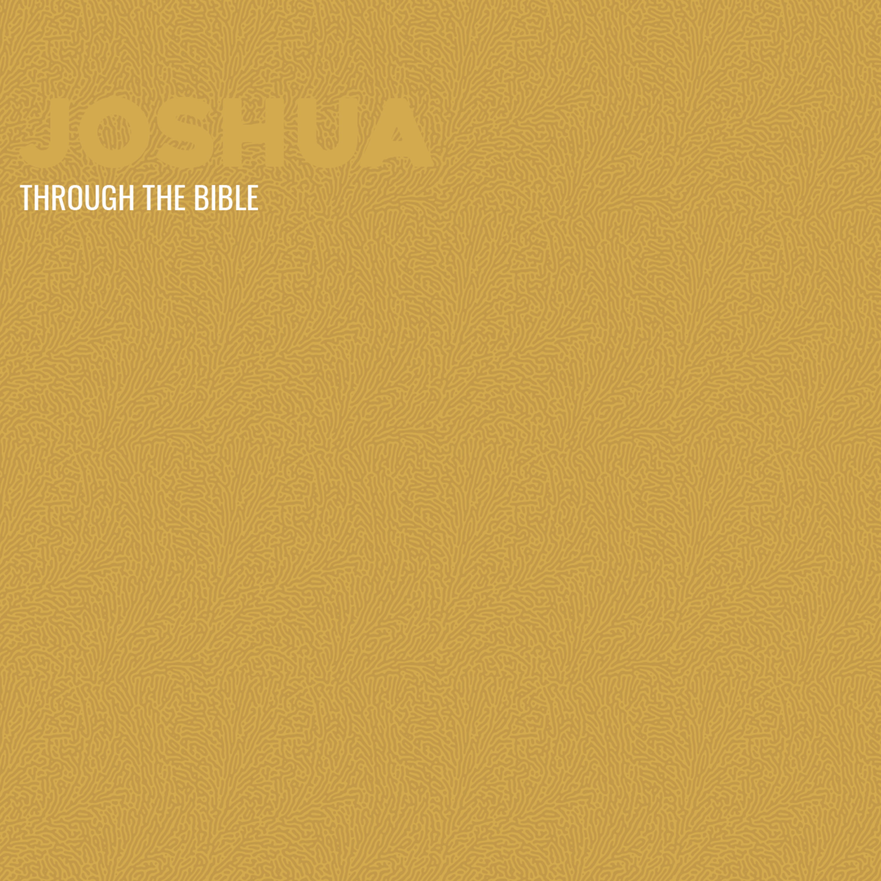 Through the Bible - Joshua