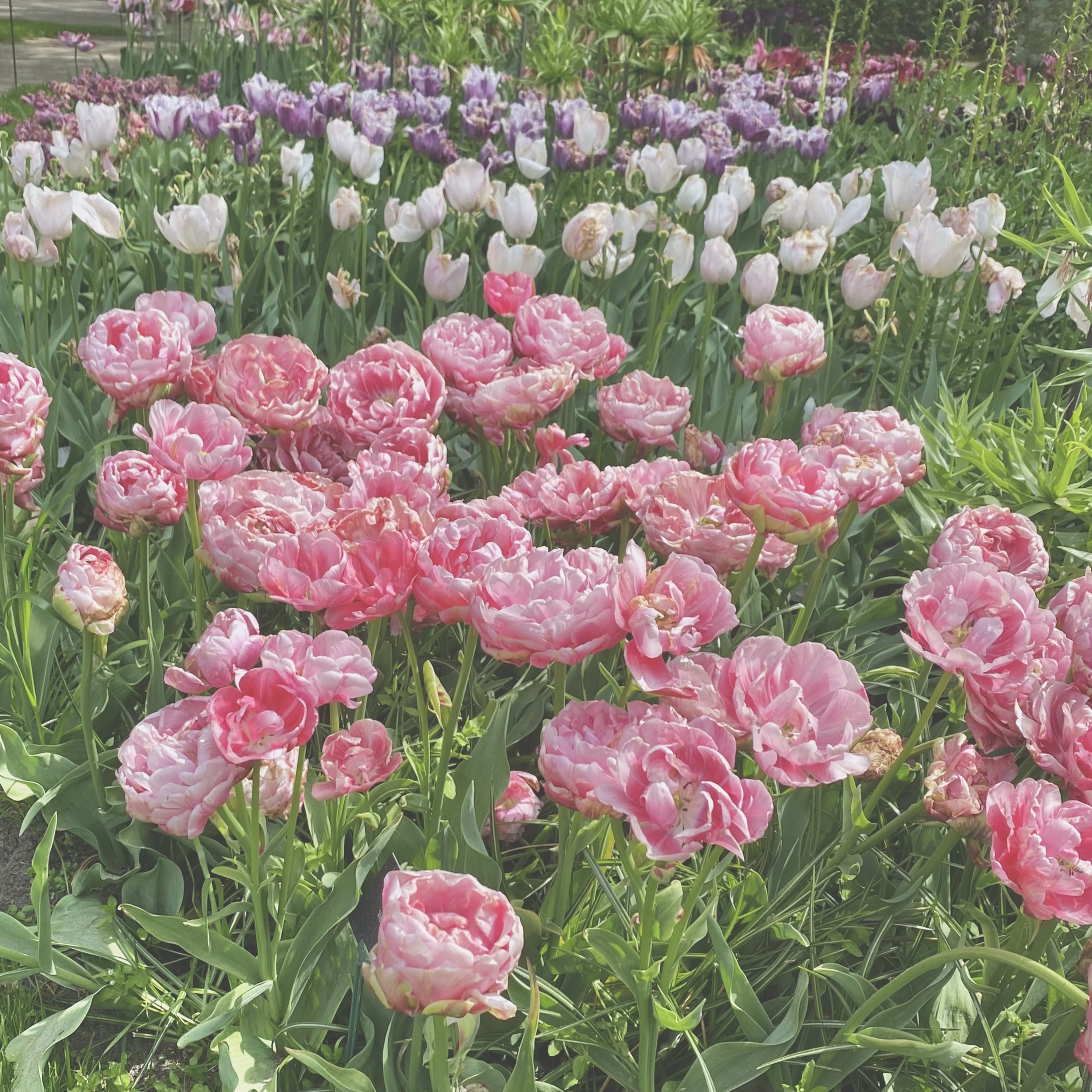 De Tout Coeur cover art