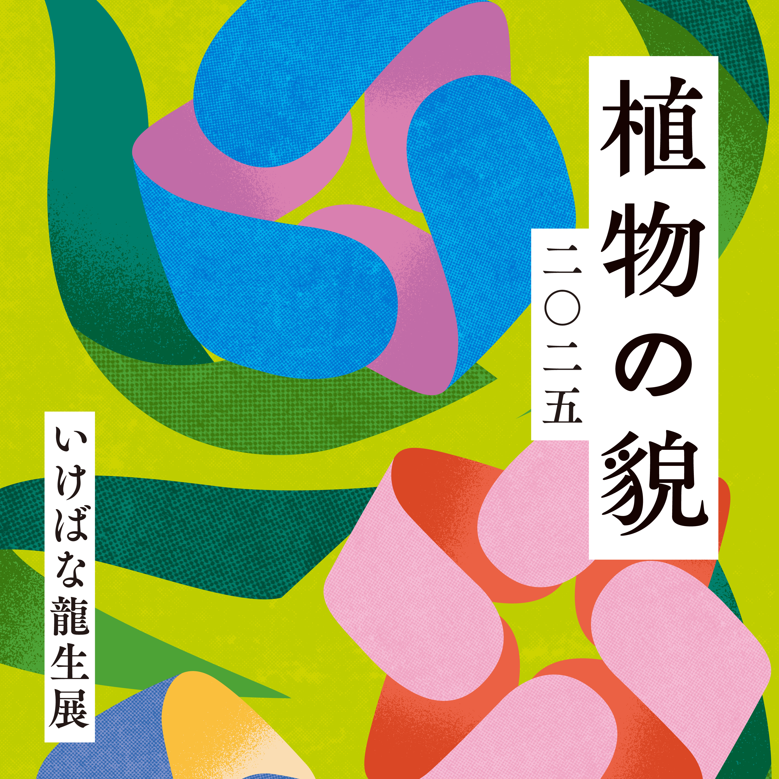#4 イベント案内 いけばな龍生展2025 episode artwork