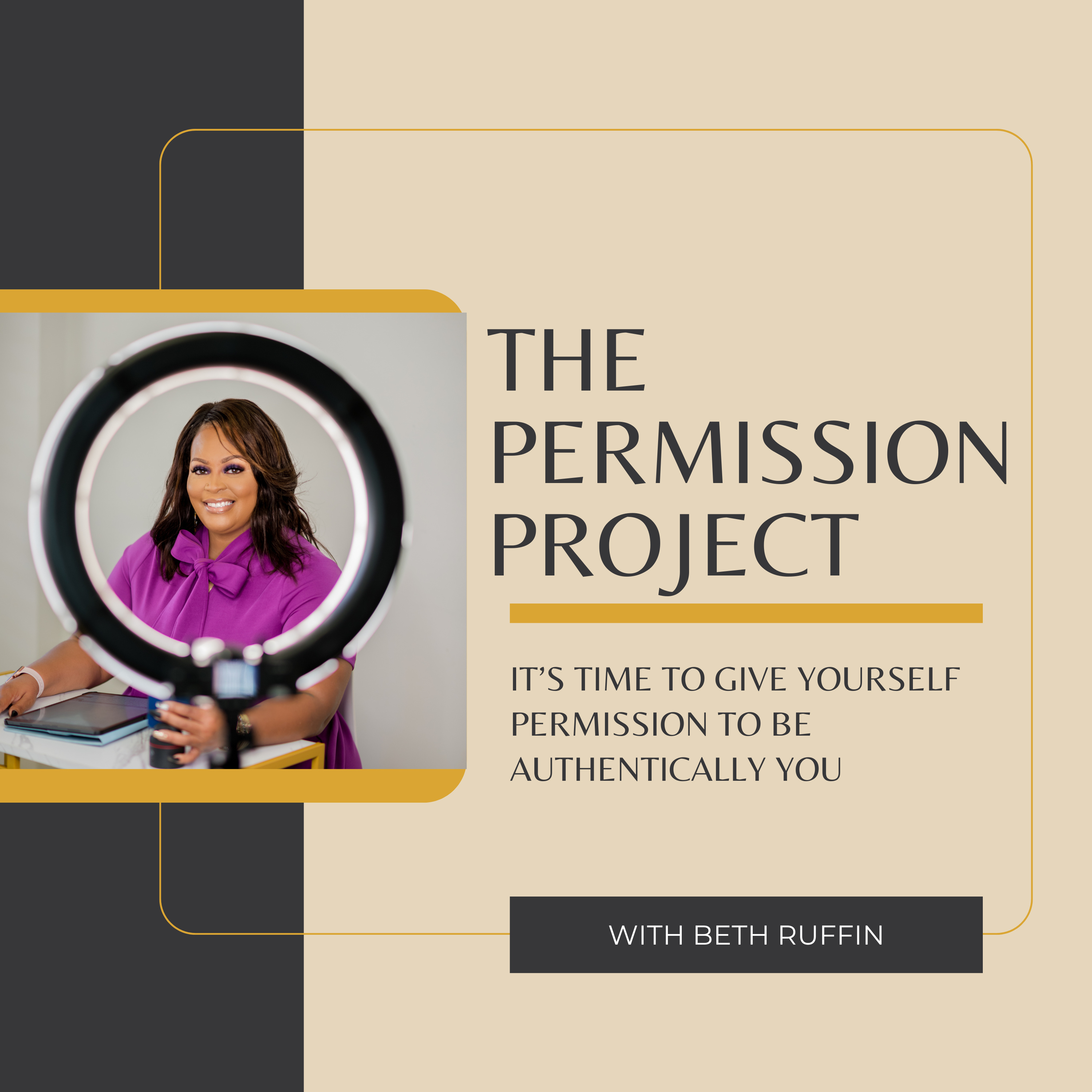 The Permission Project podcast artwork