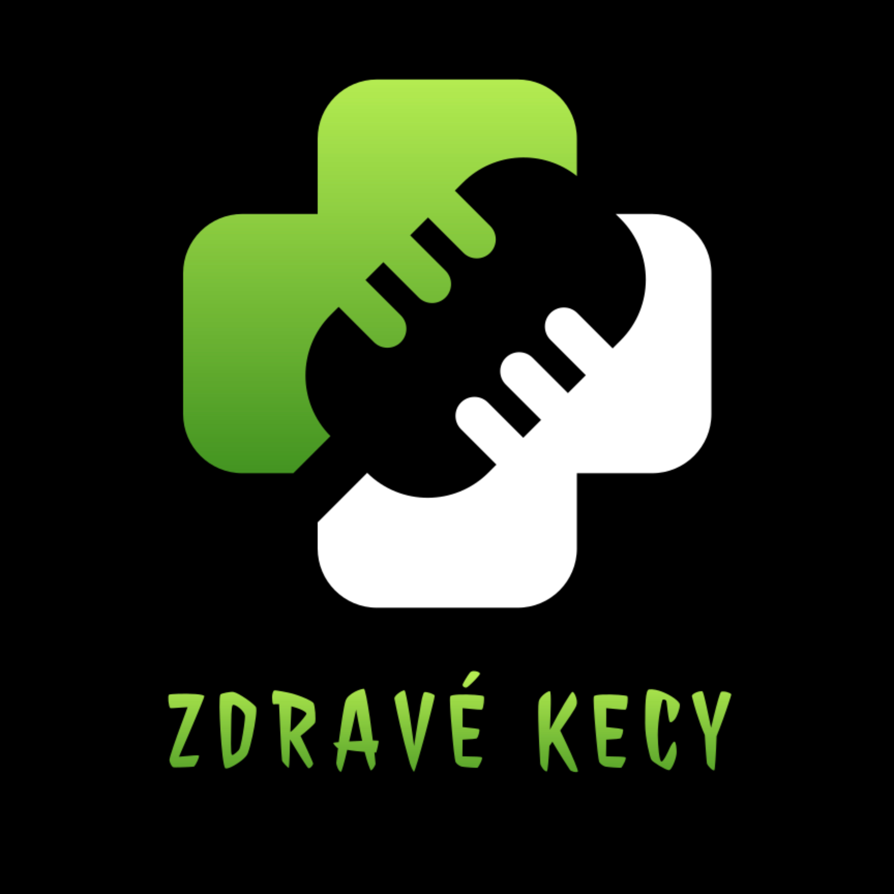 Zdravé kecy cover art