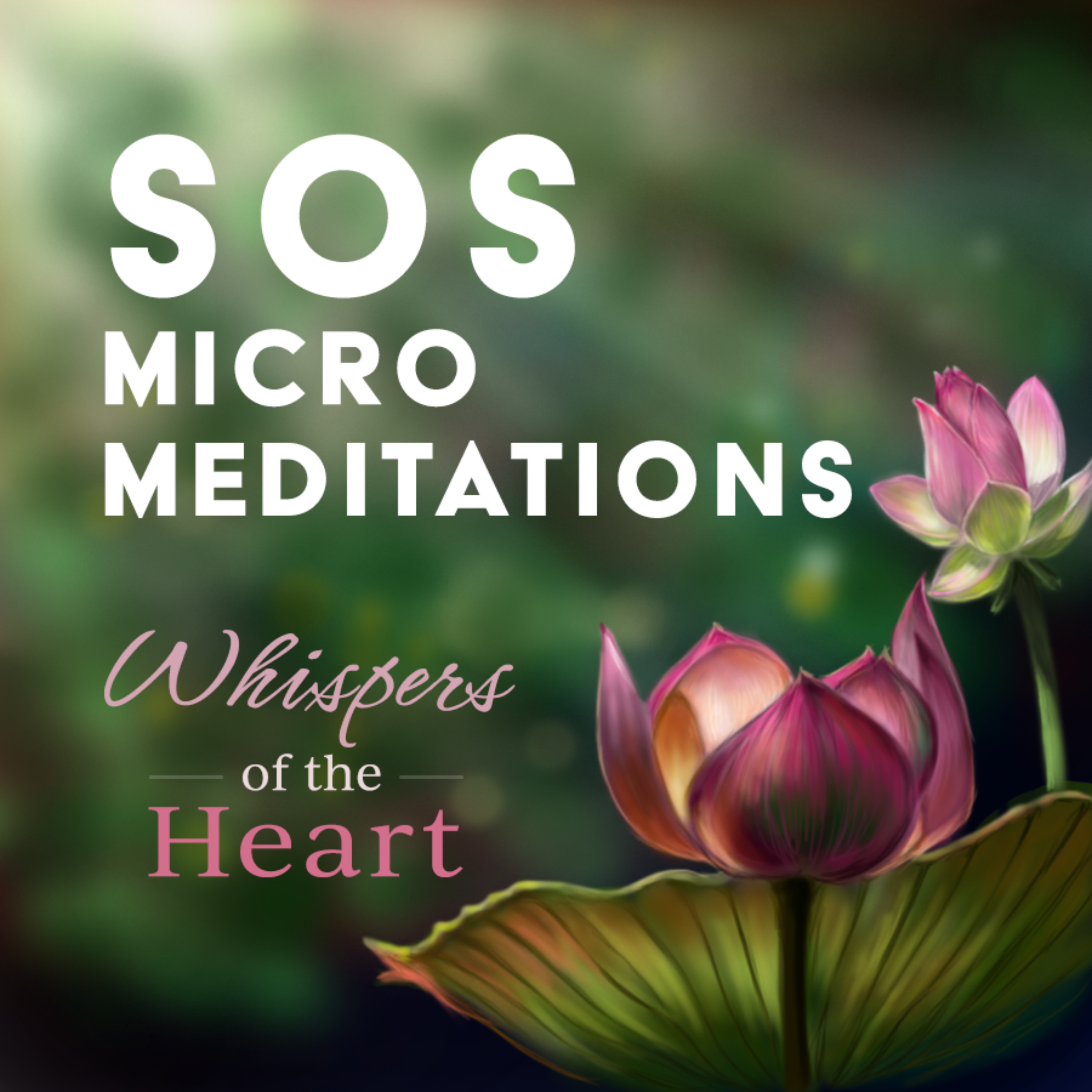 SOS Micro Meditations podcast artwork