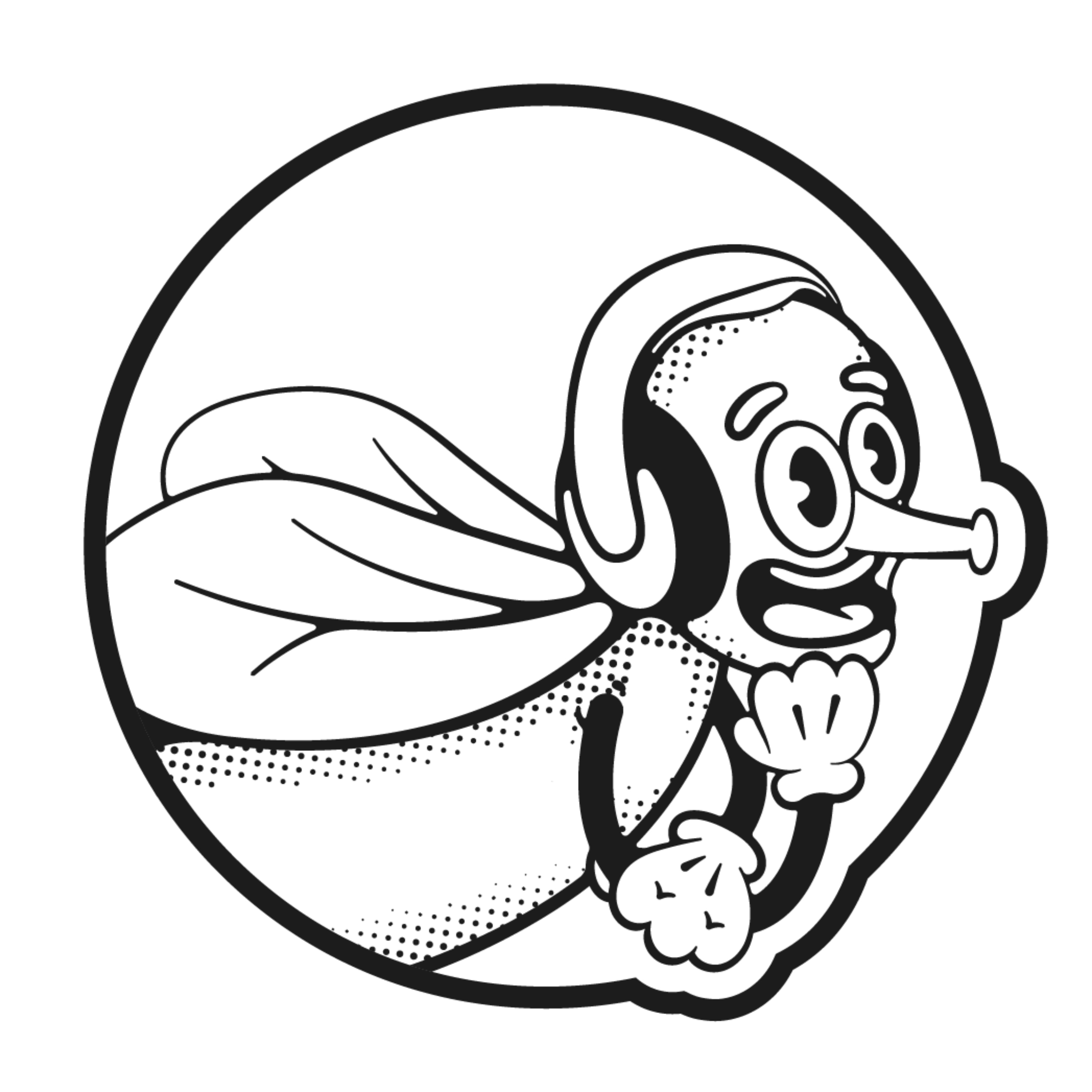 AmpliFly podcast artwork