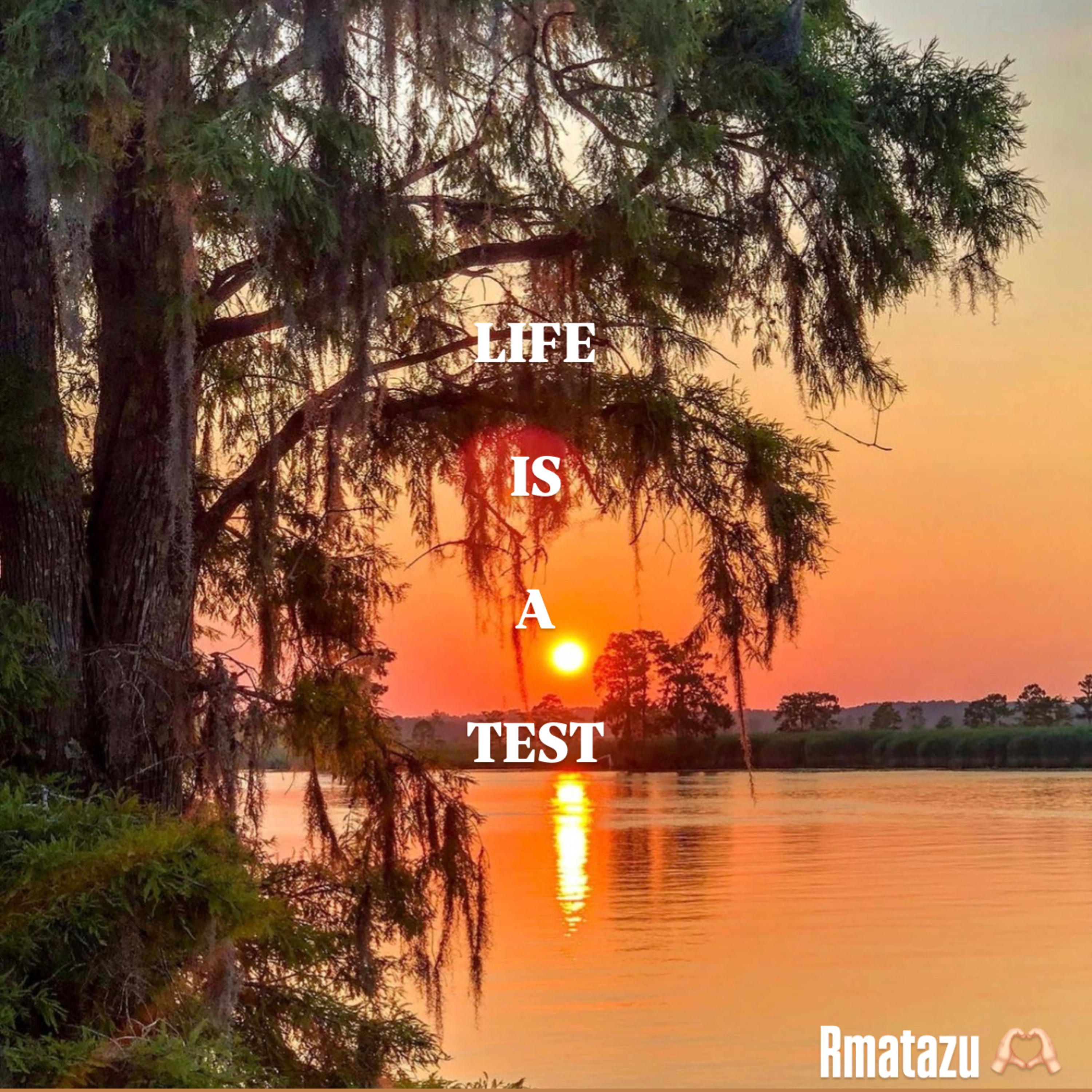 Life is a Test