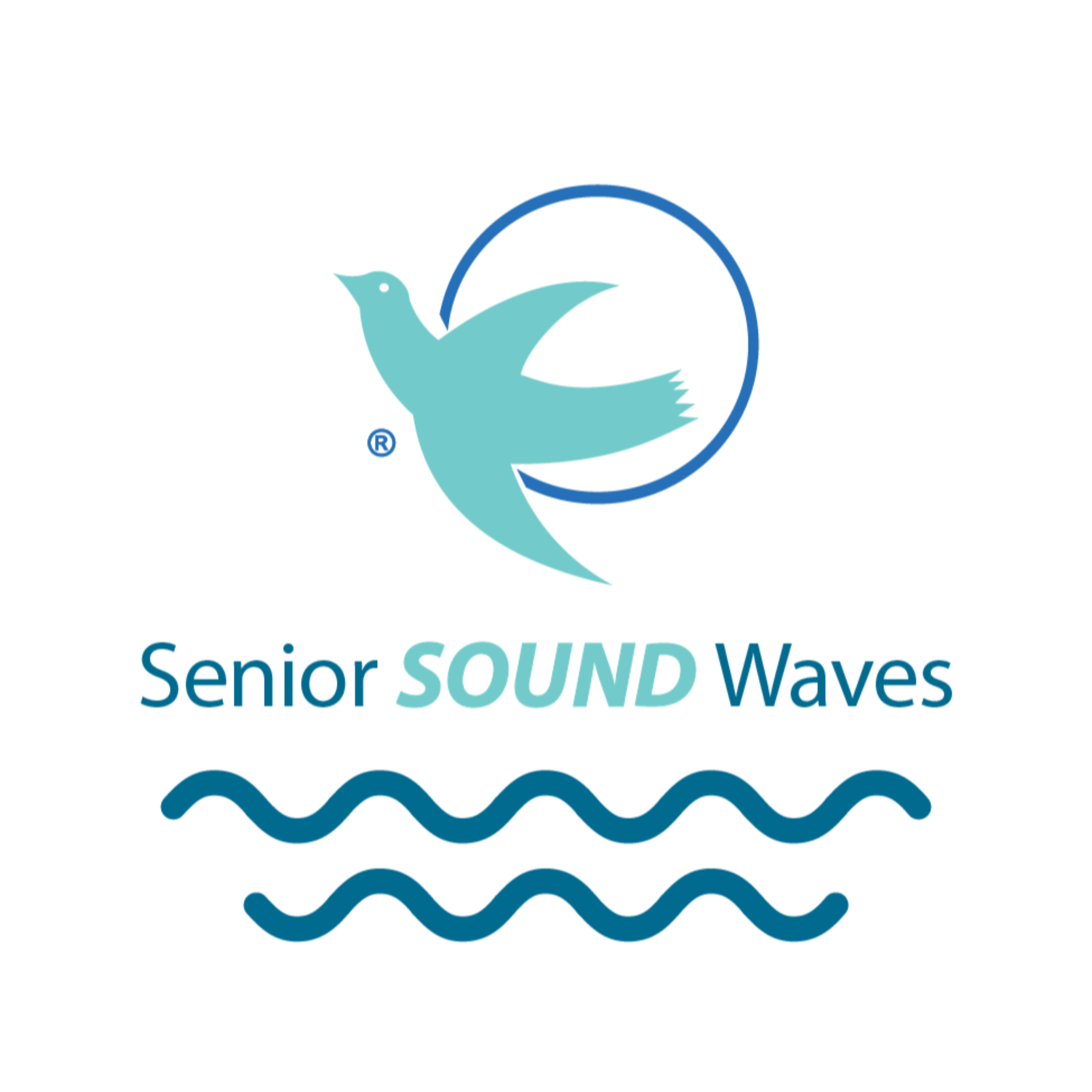 Senior Soundwaves
