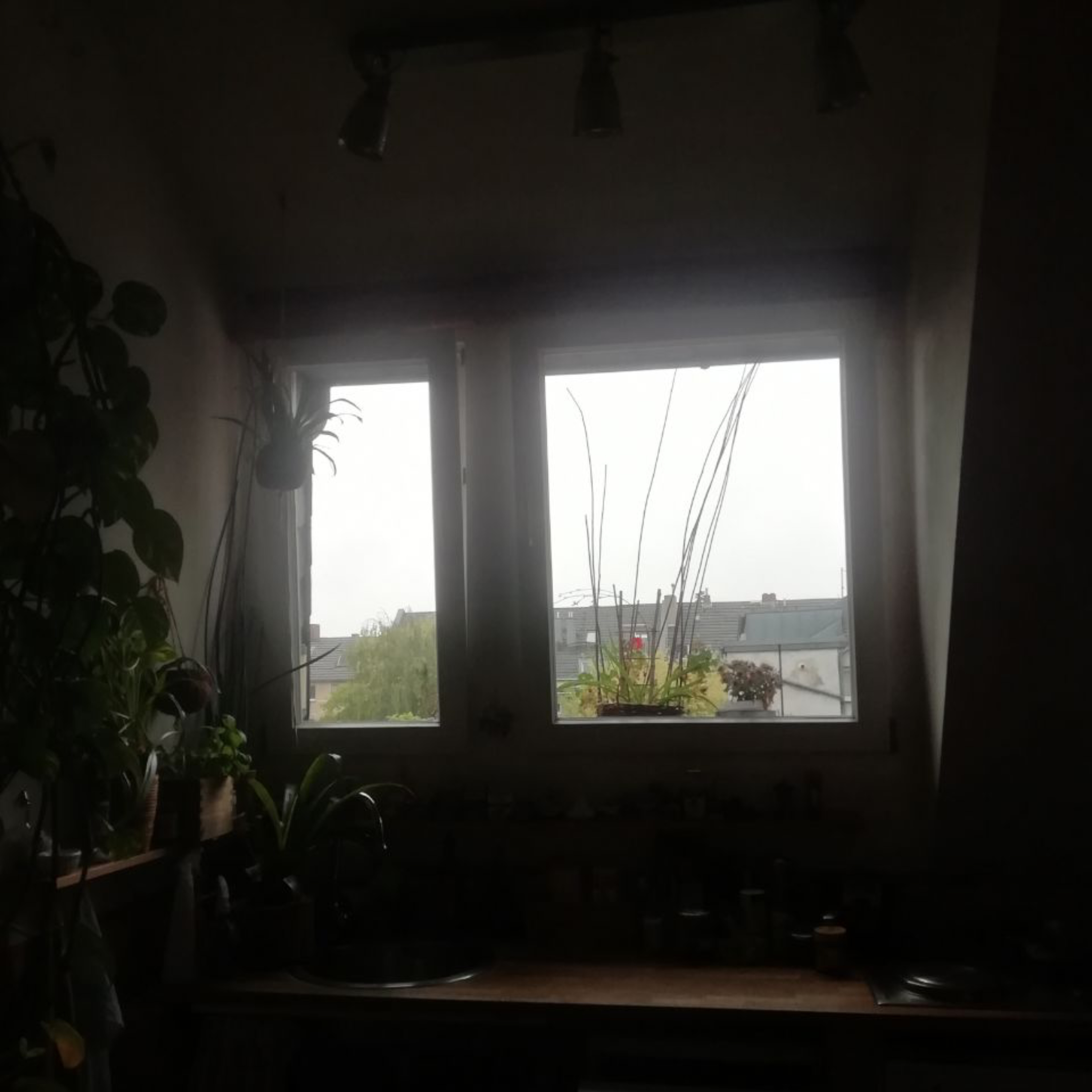 Podcast ende sommer morgen früh