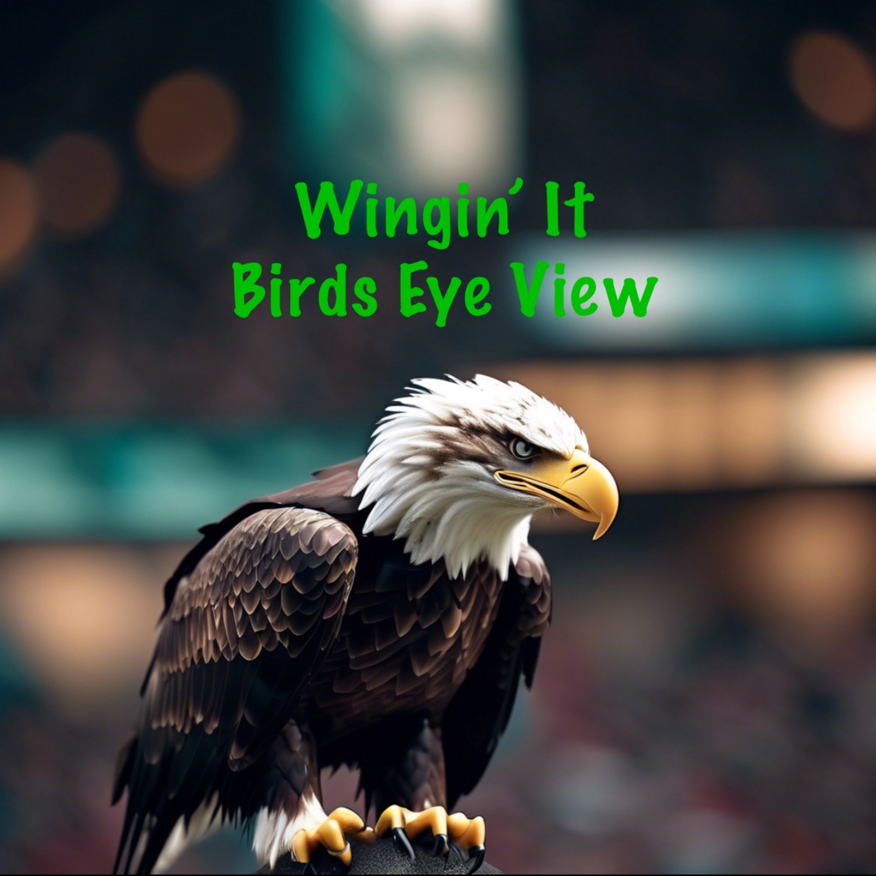 Wingin’ It - Birds Eye View podcast artwork