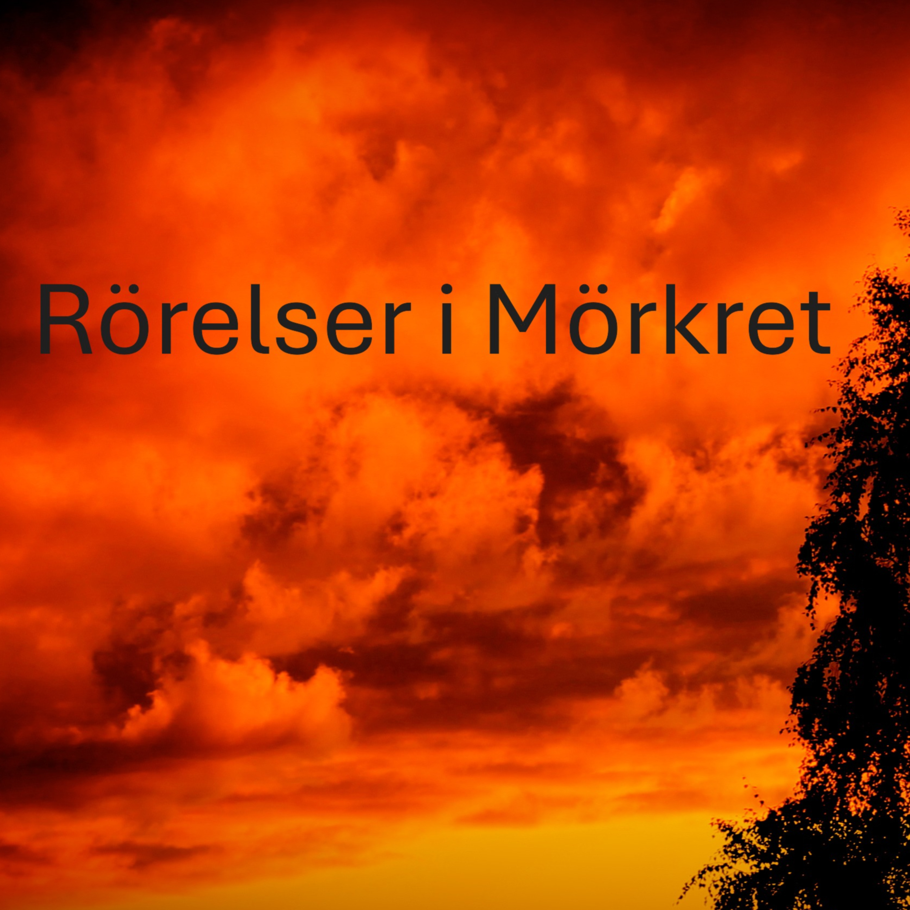 Rörelser i mörkret