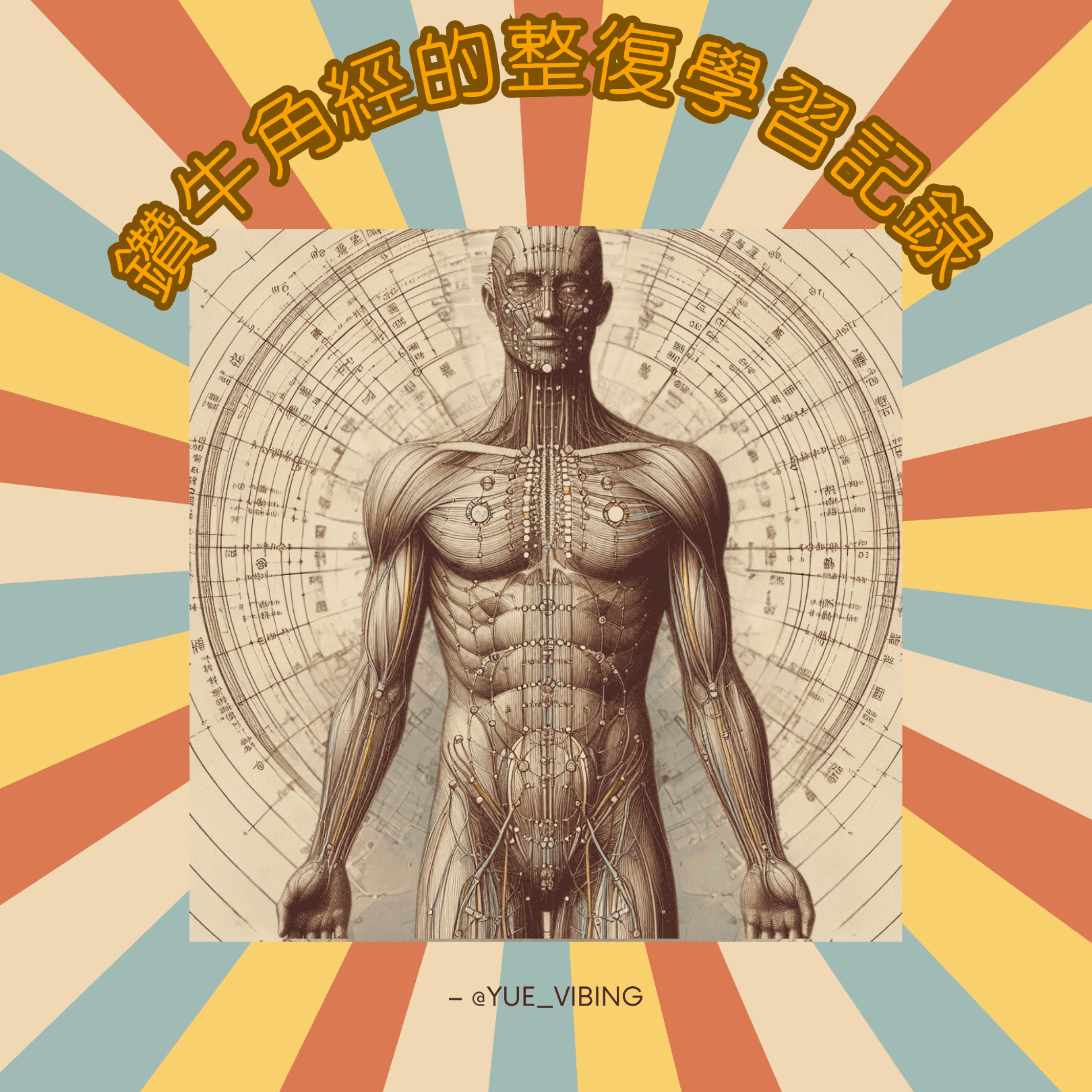 鑽牛角經的整復學習紀錄 podcast artwork