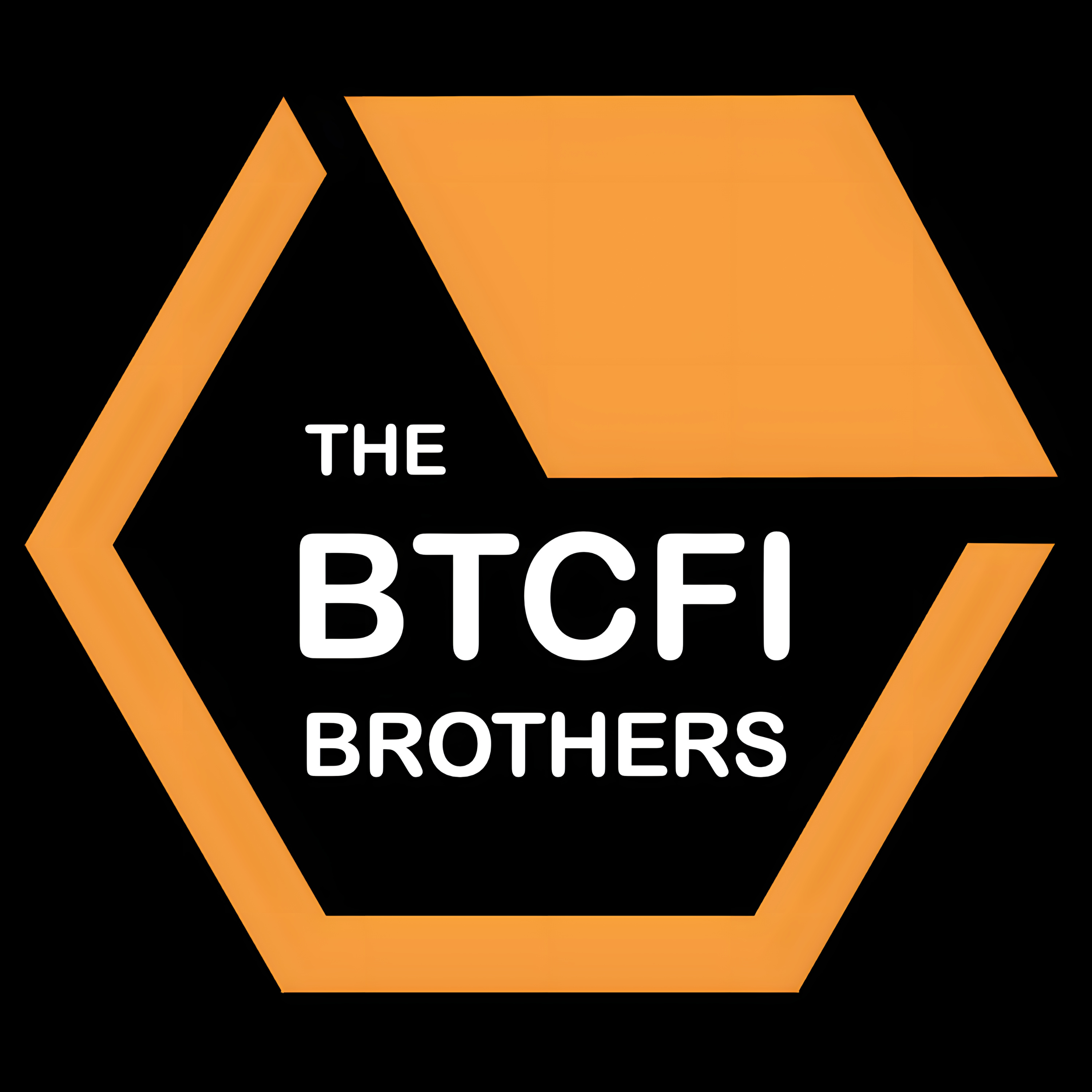 The BTCfi Brothers Podcast podcast artwork