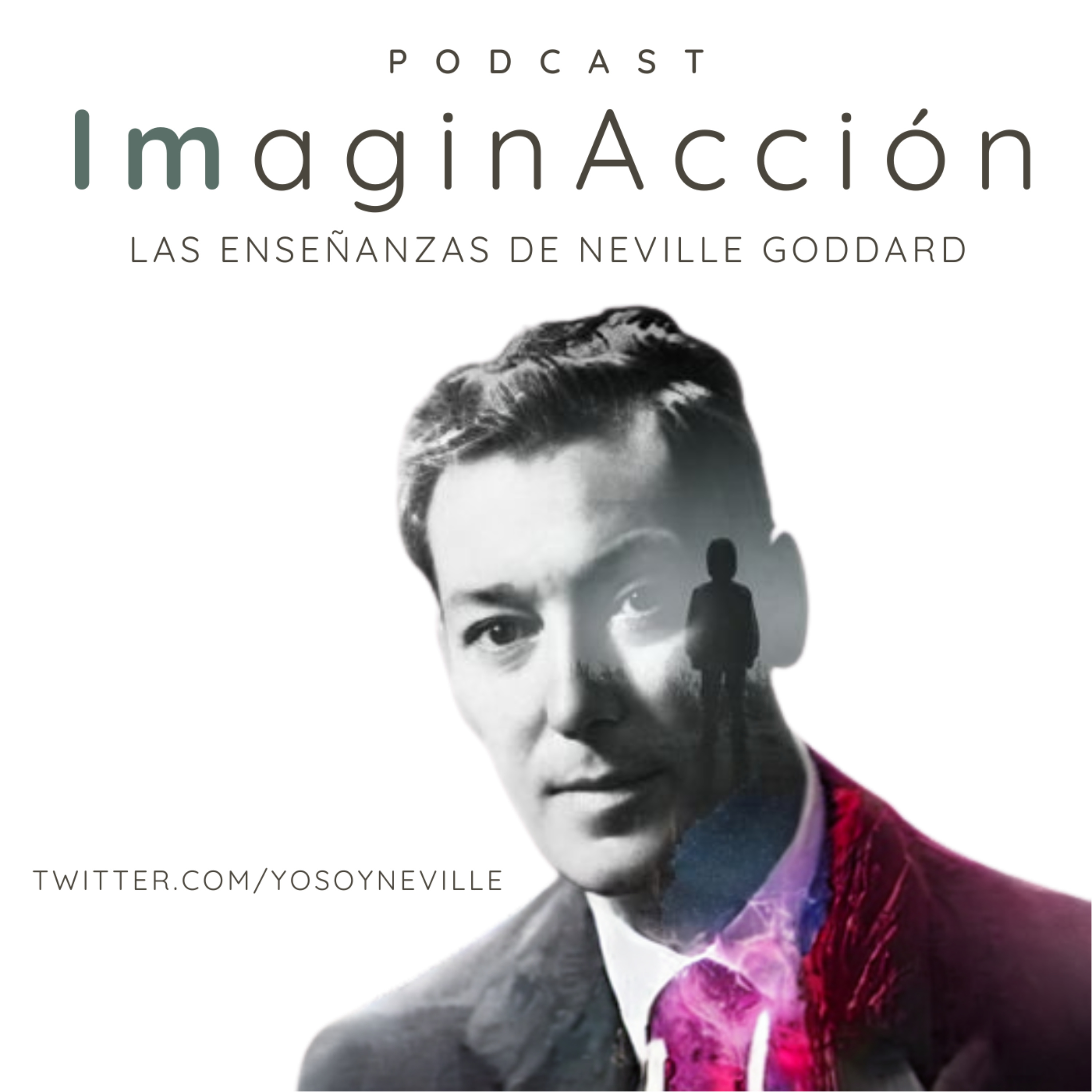 ImaginAcción