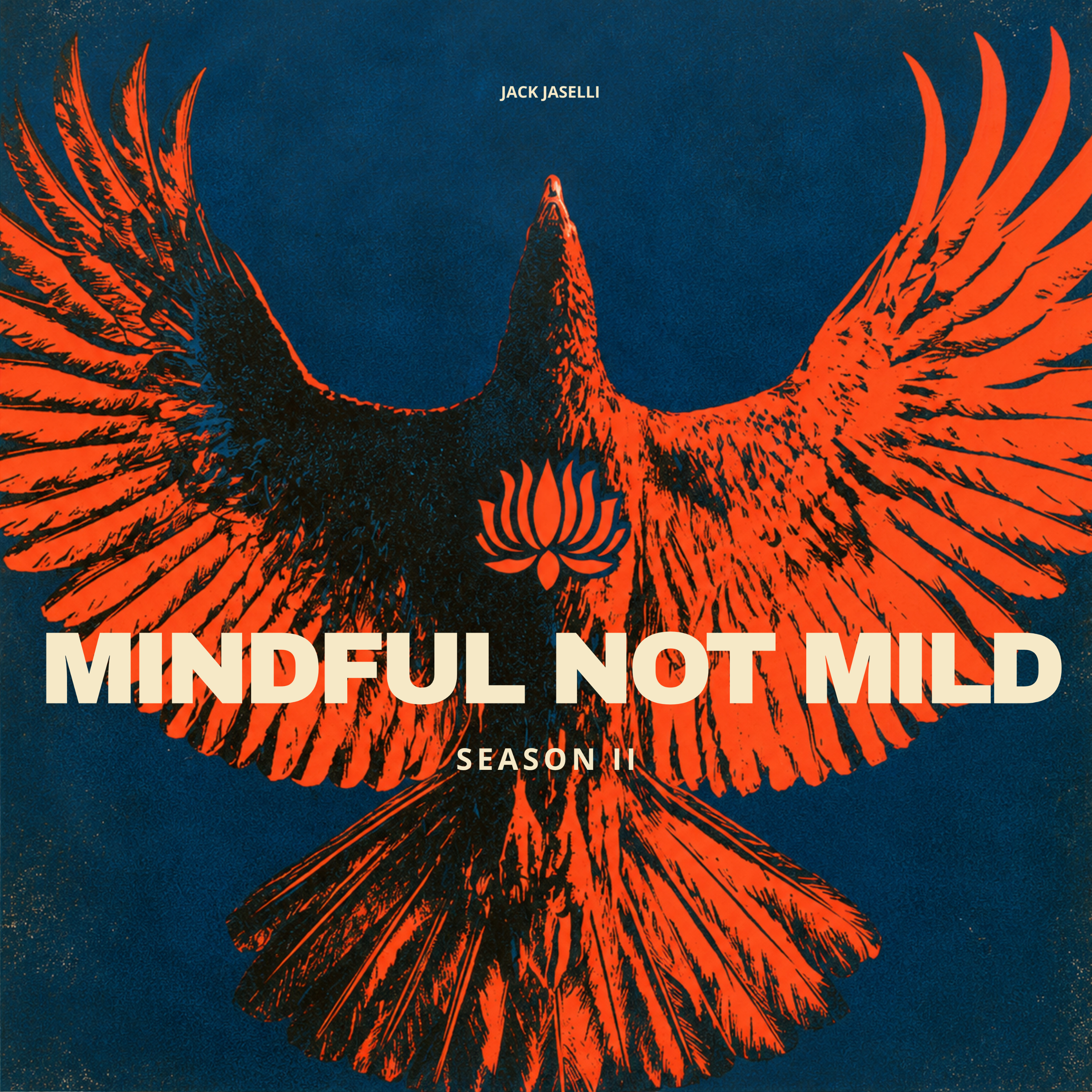Mindful Not Mild