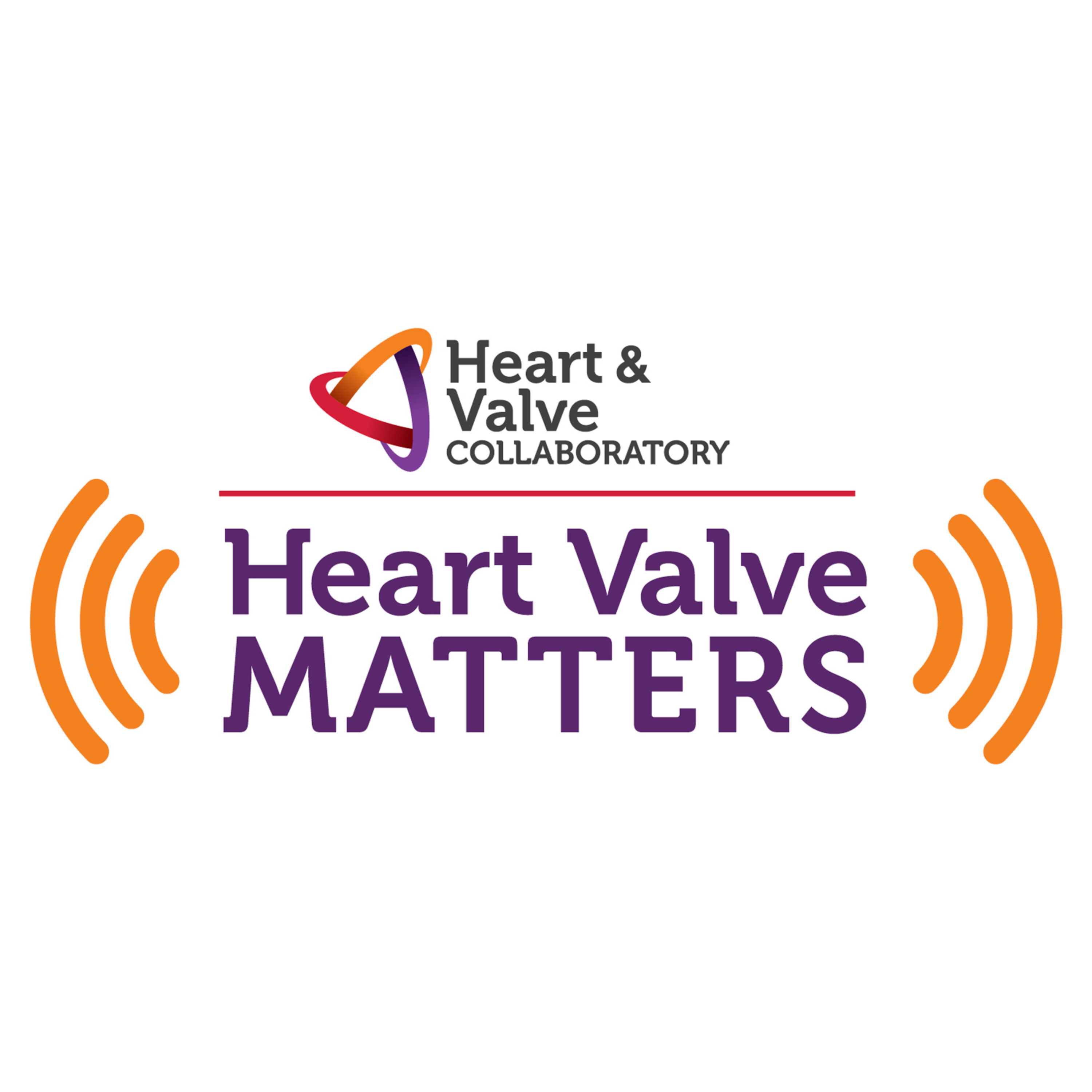 Heart Valve Matters
