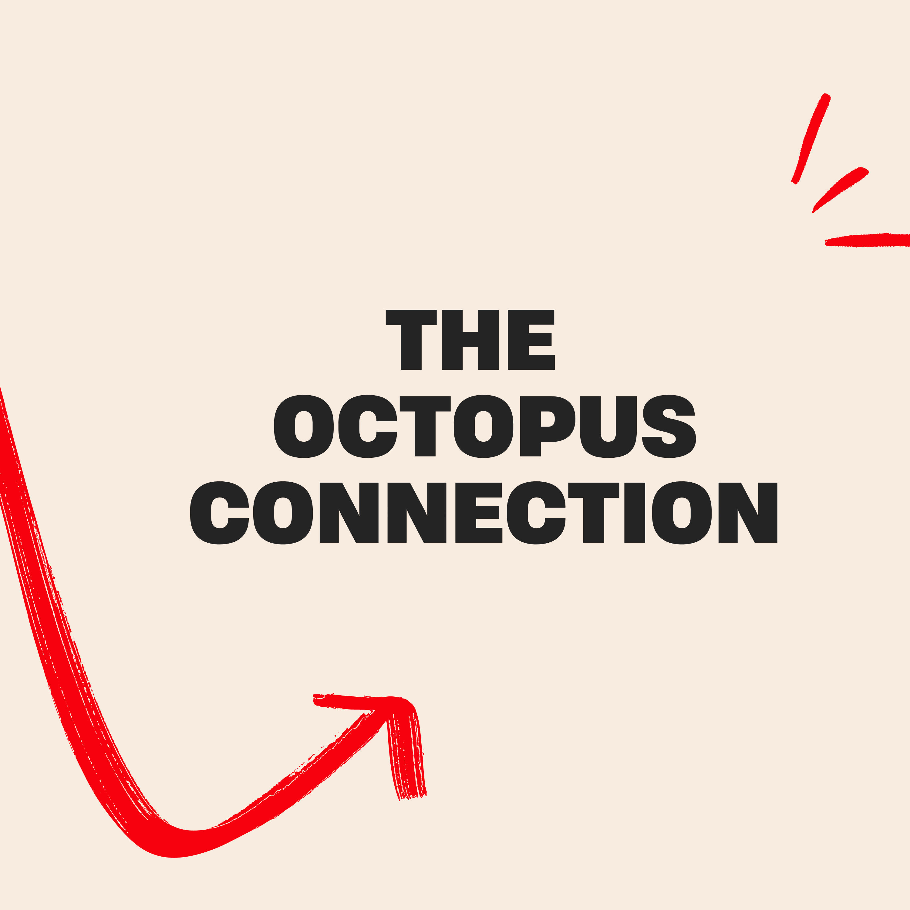 The Octopus Connection