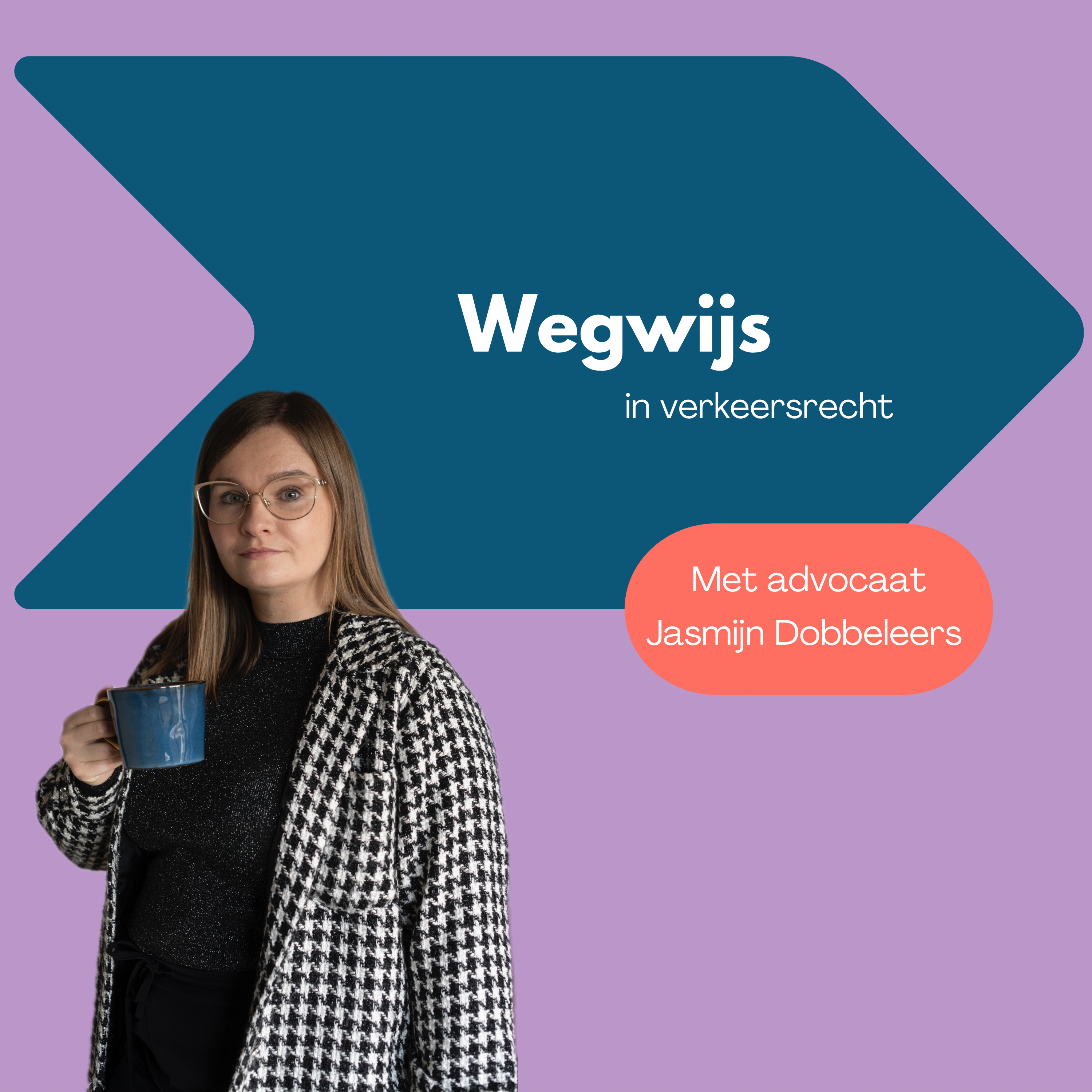 Wegwijs in verkeersrecht 