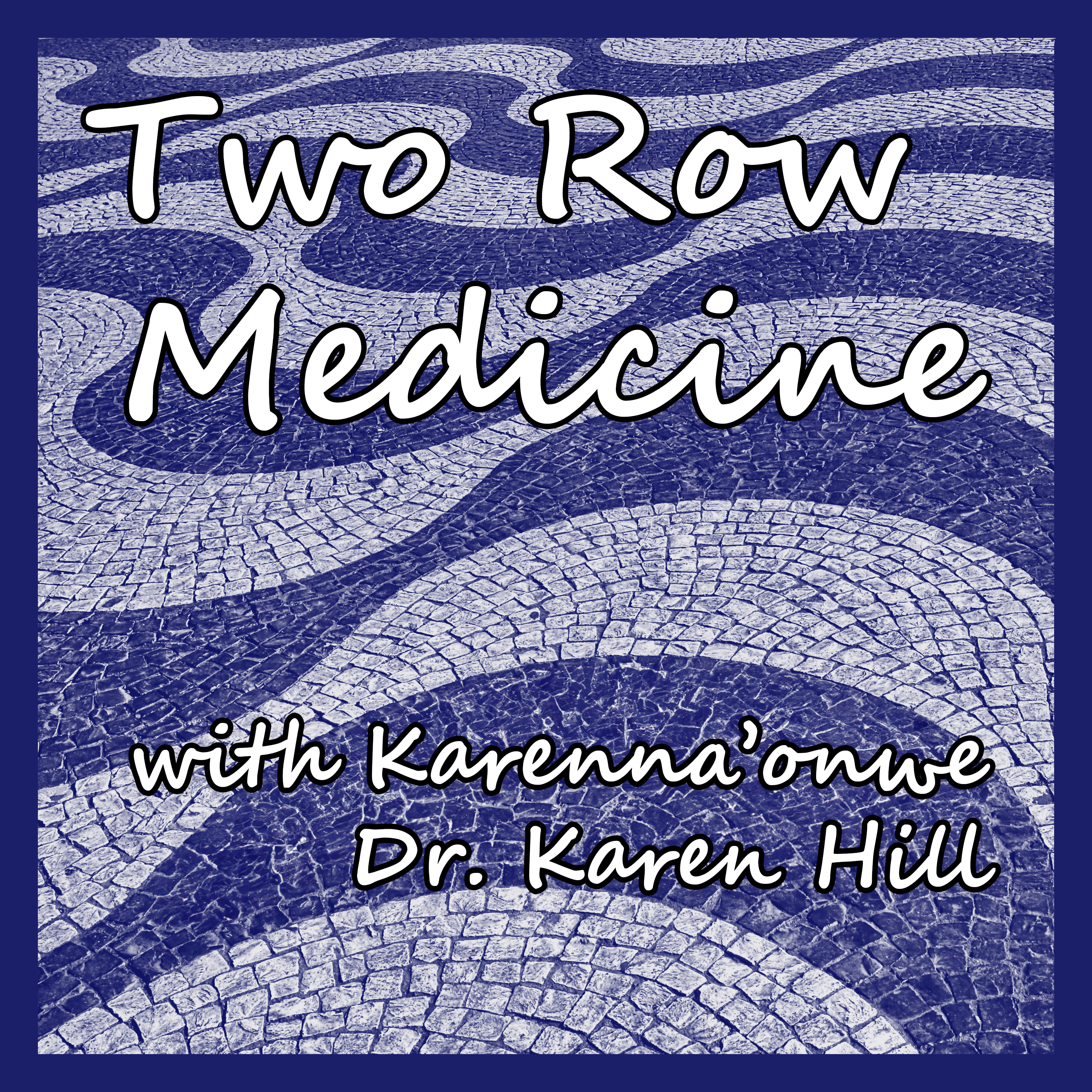 The Other Human in the Room, Episode 189 — Two Row Medicine with Dr. Karenna'onwe Karen Hill