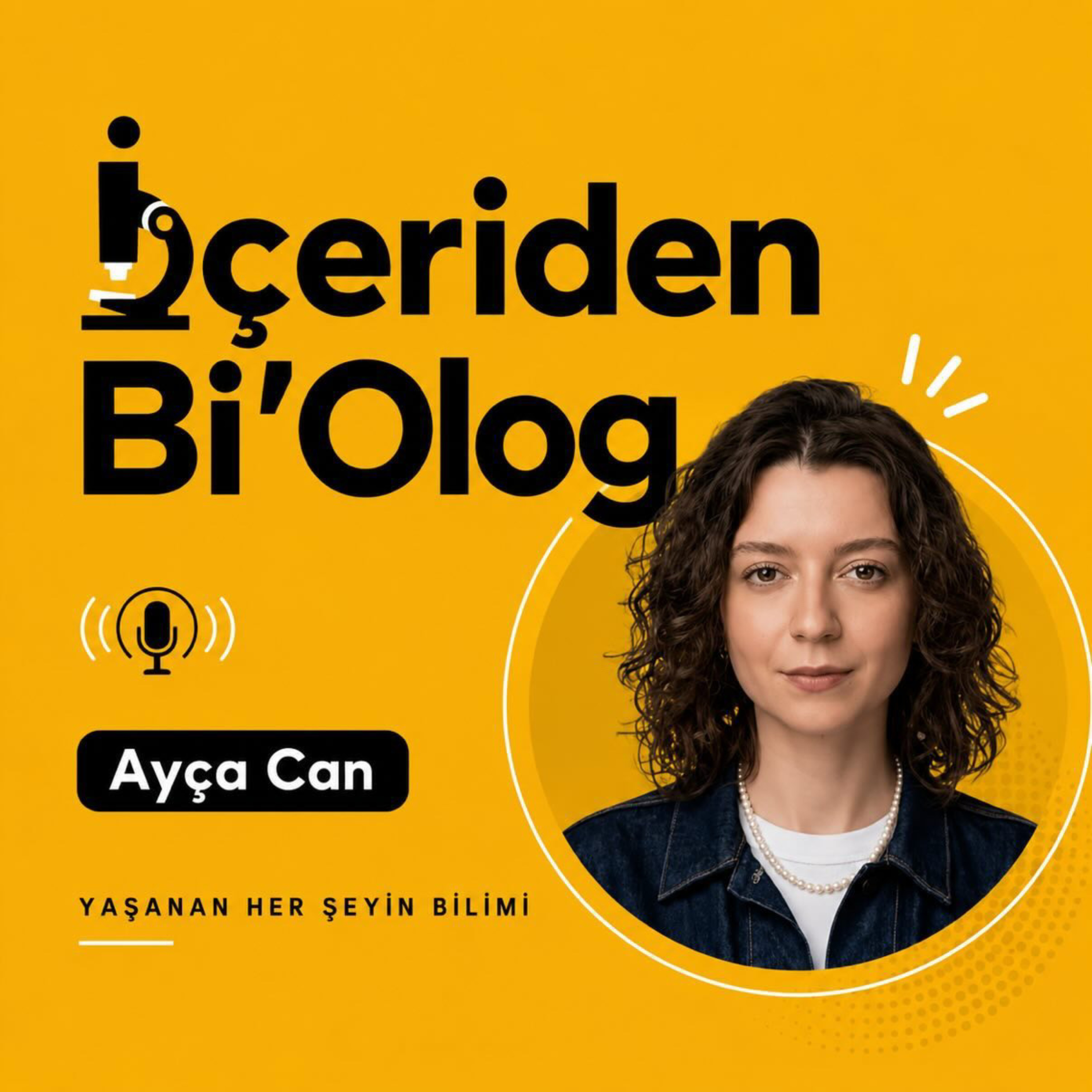 Podcast Image