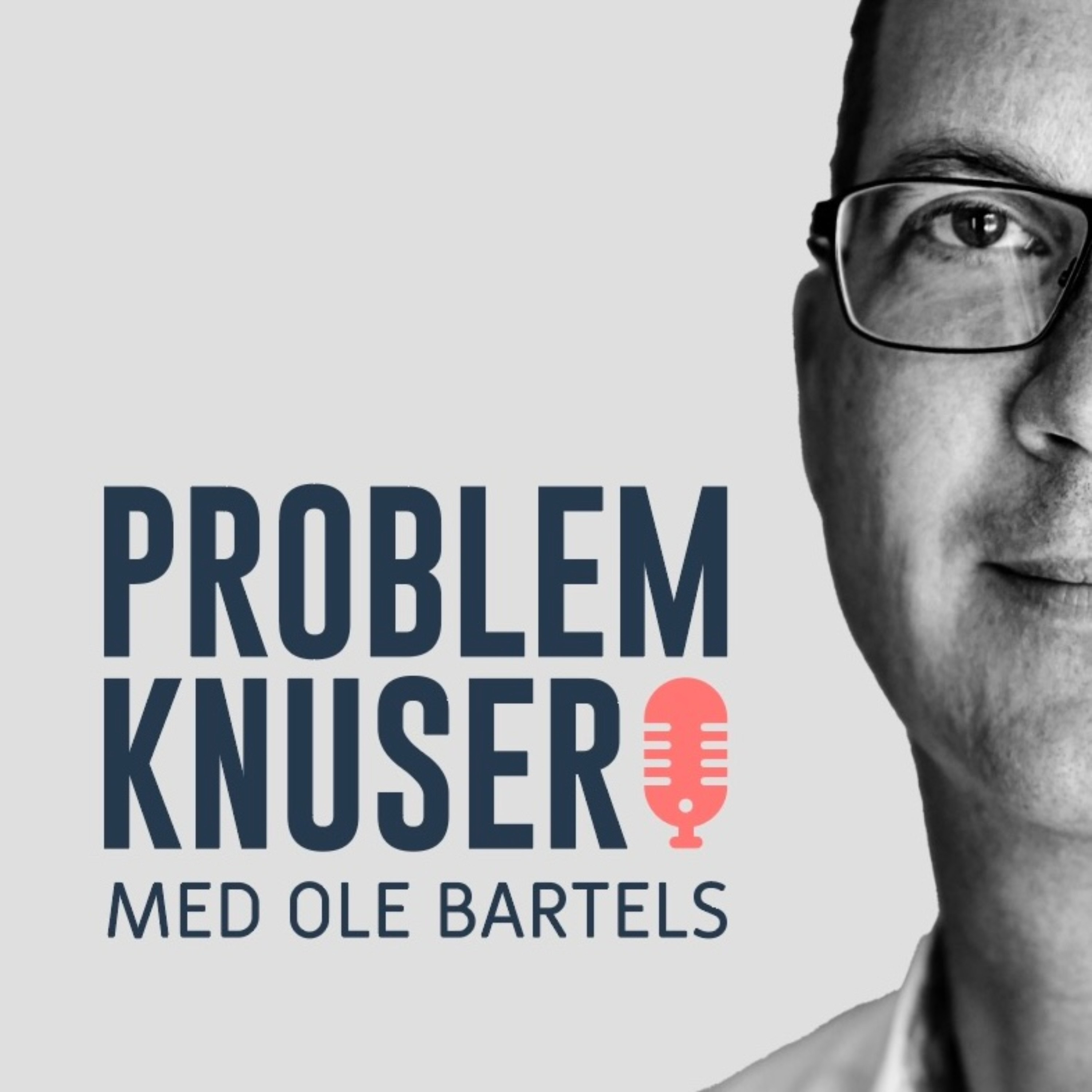 Problemknuser