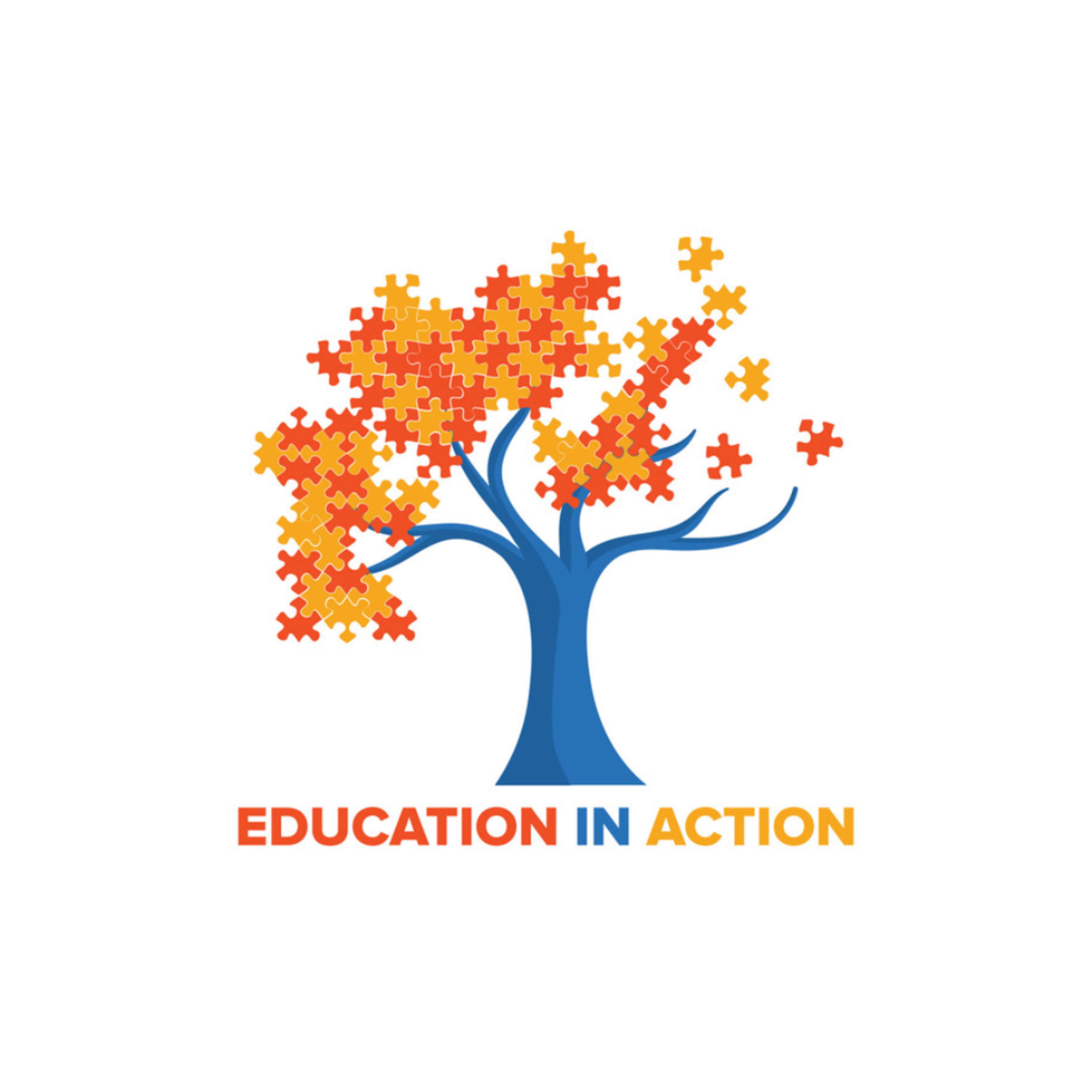 Education In Action