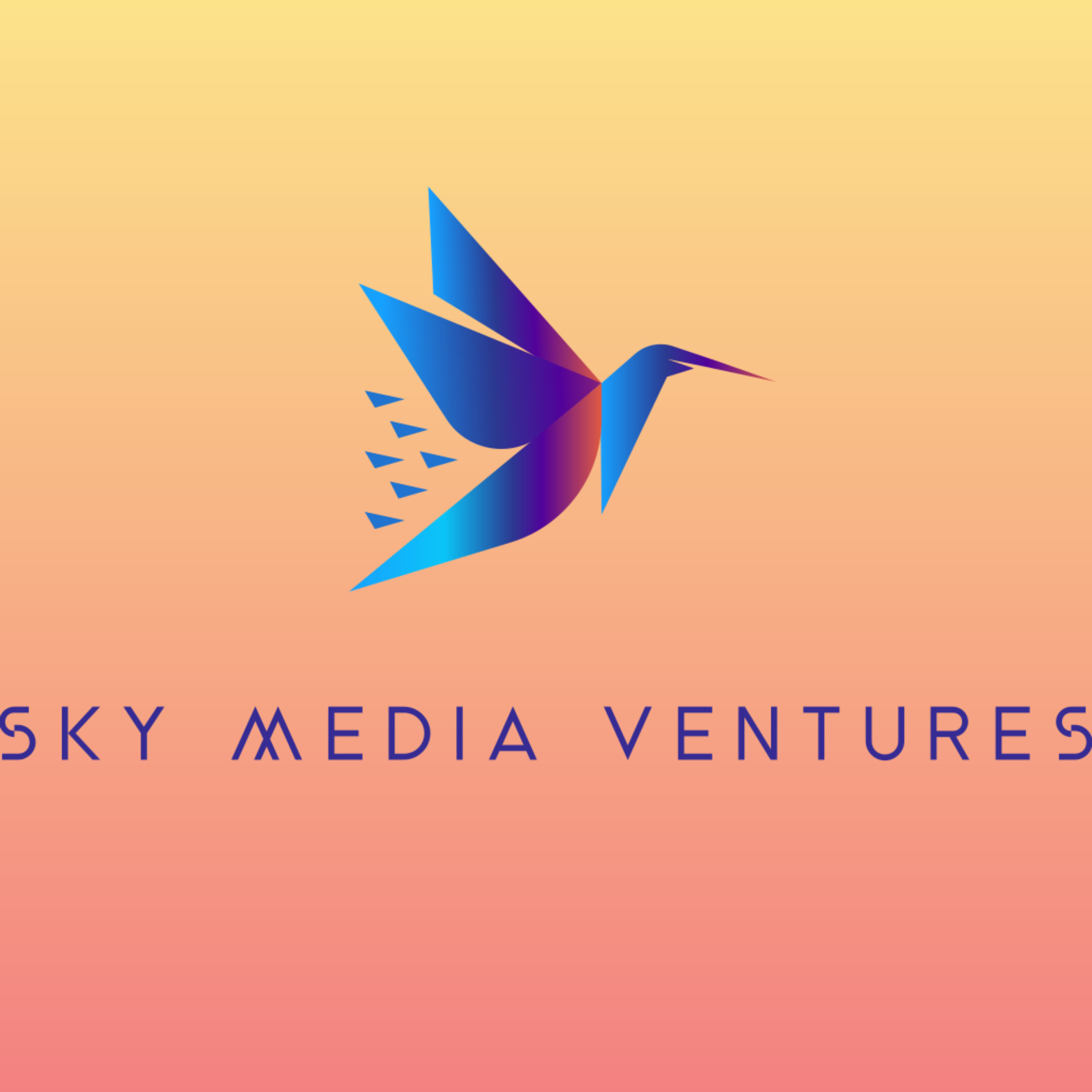 Sky Media Ventures