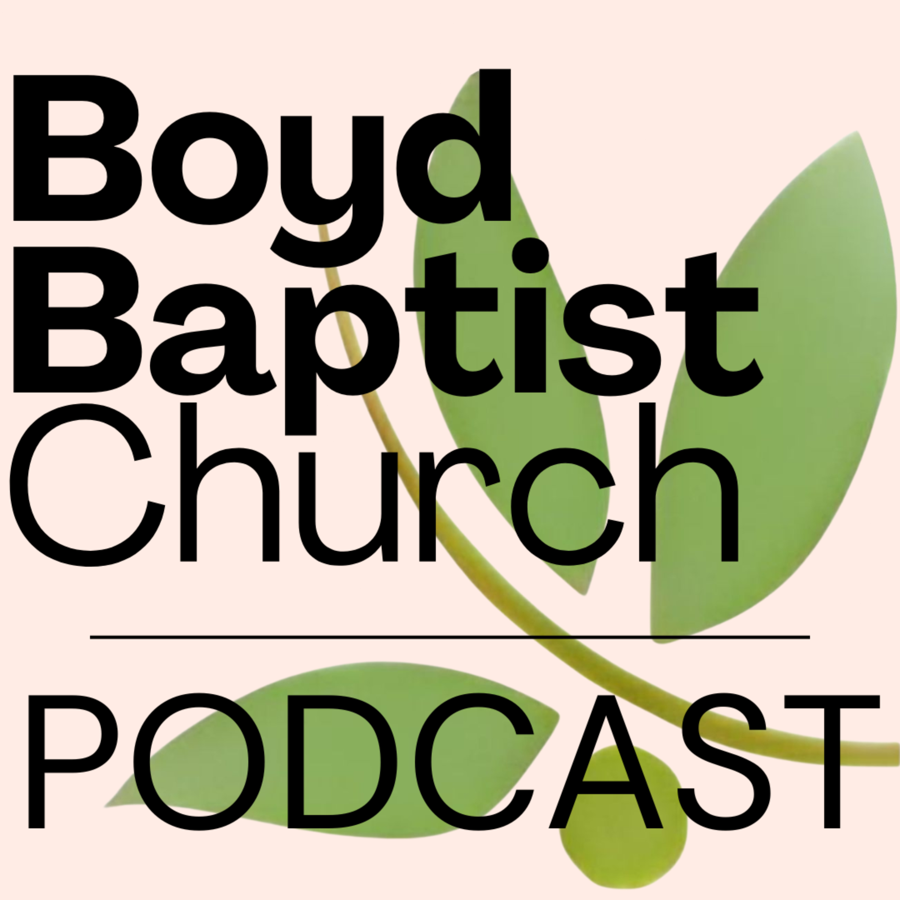 Boyd Baptist Church | Bonham TX