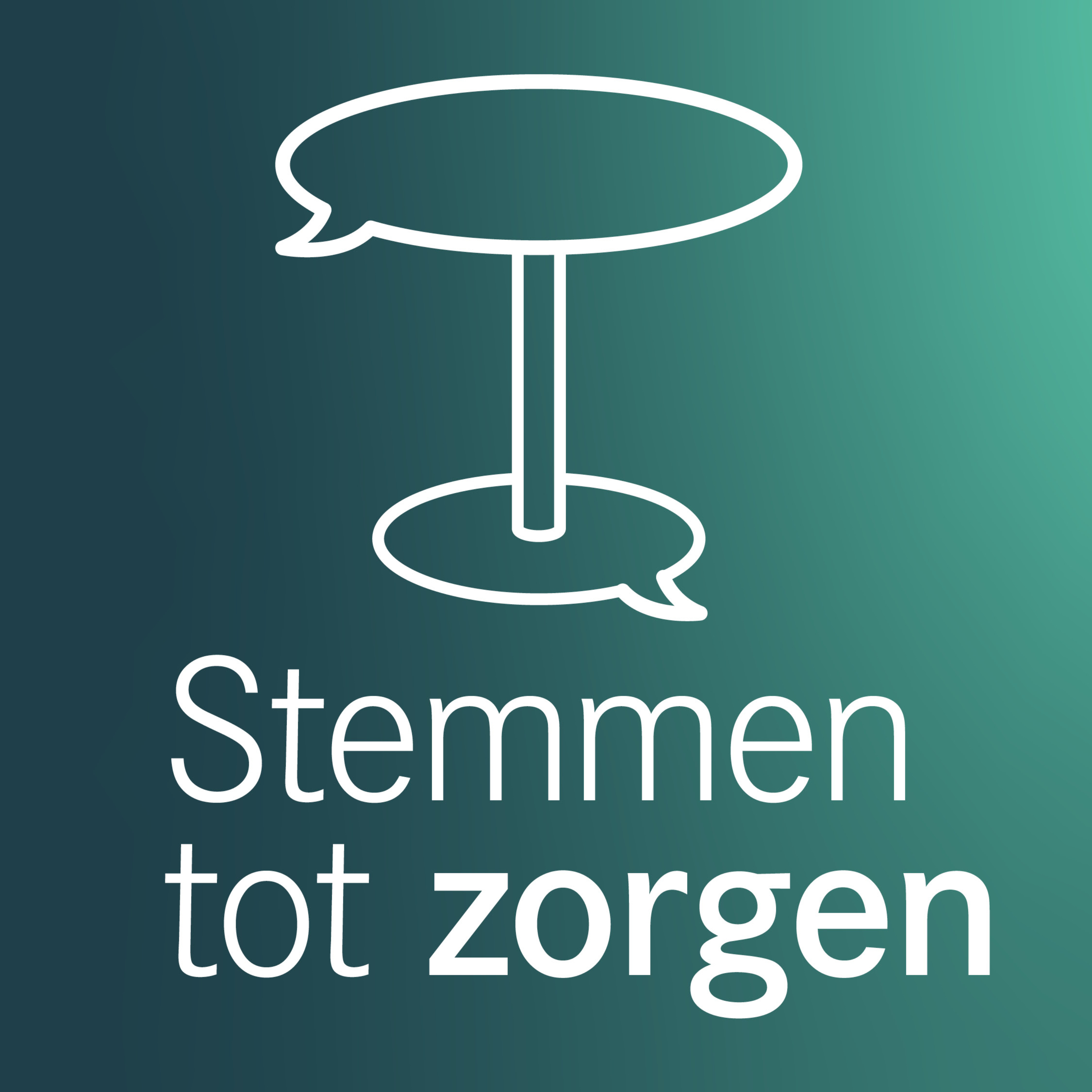 Stemmen tot zorgen