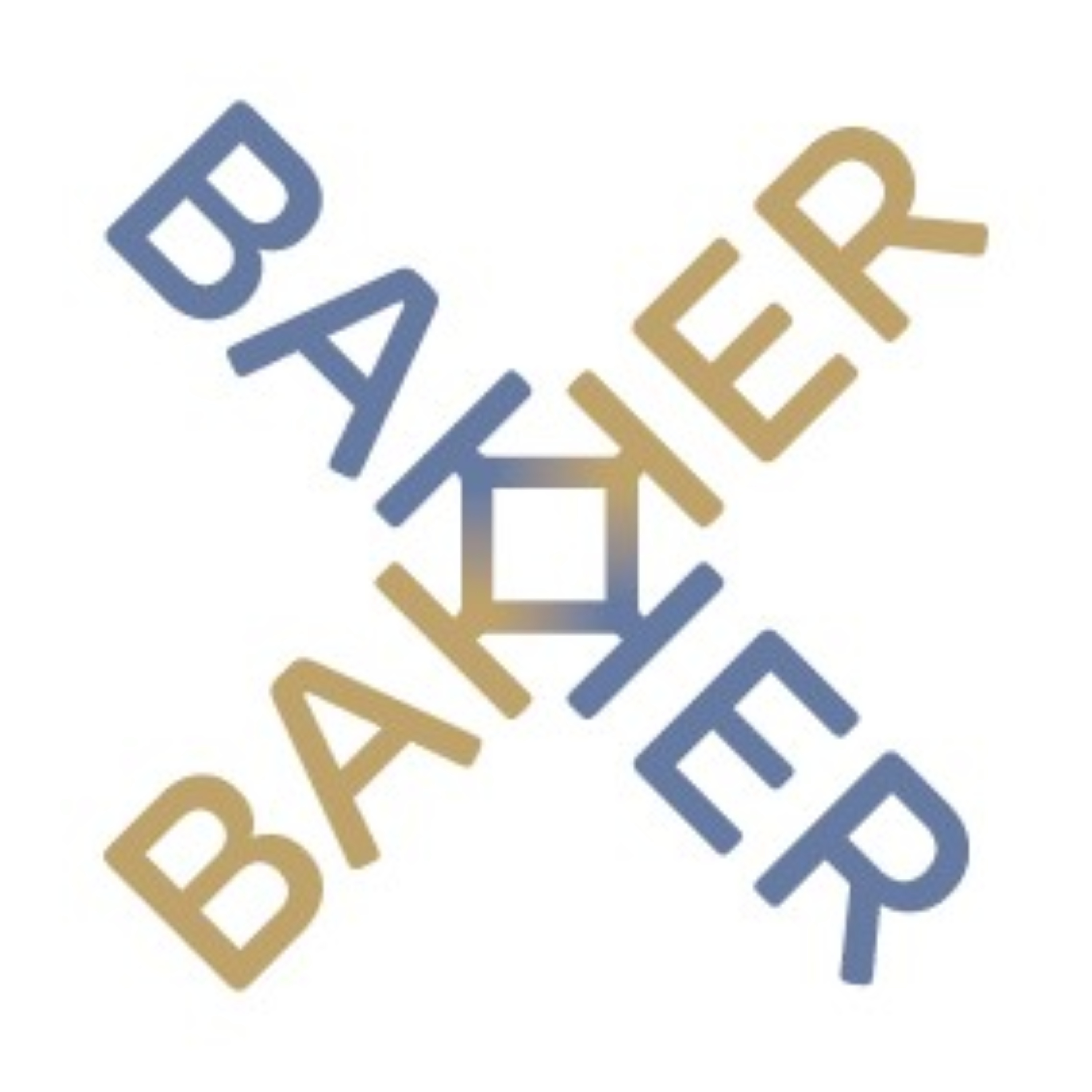 BakkerXBakker podcast artwork
