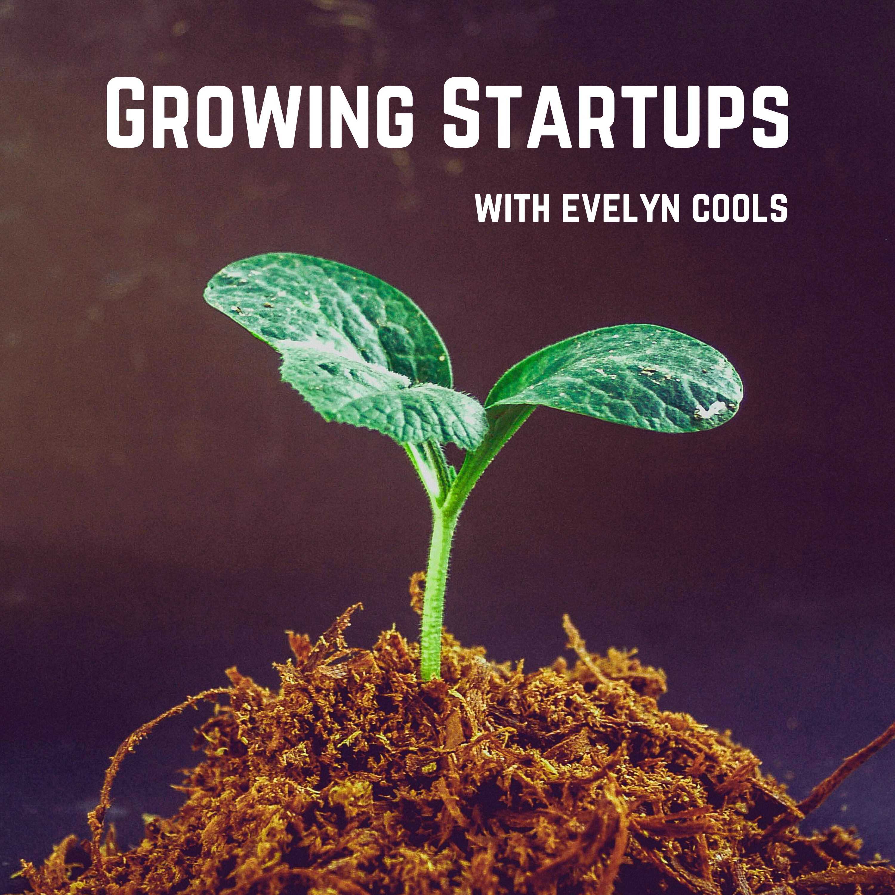 Growing Startups with Evelyn Cools podcast artwork