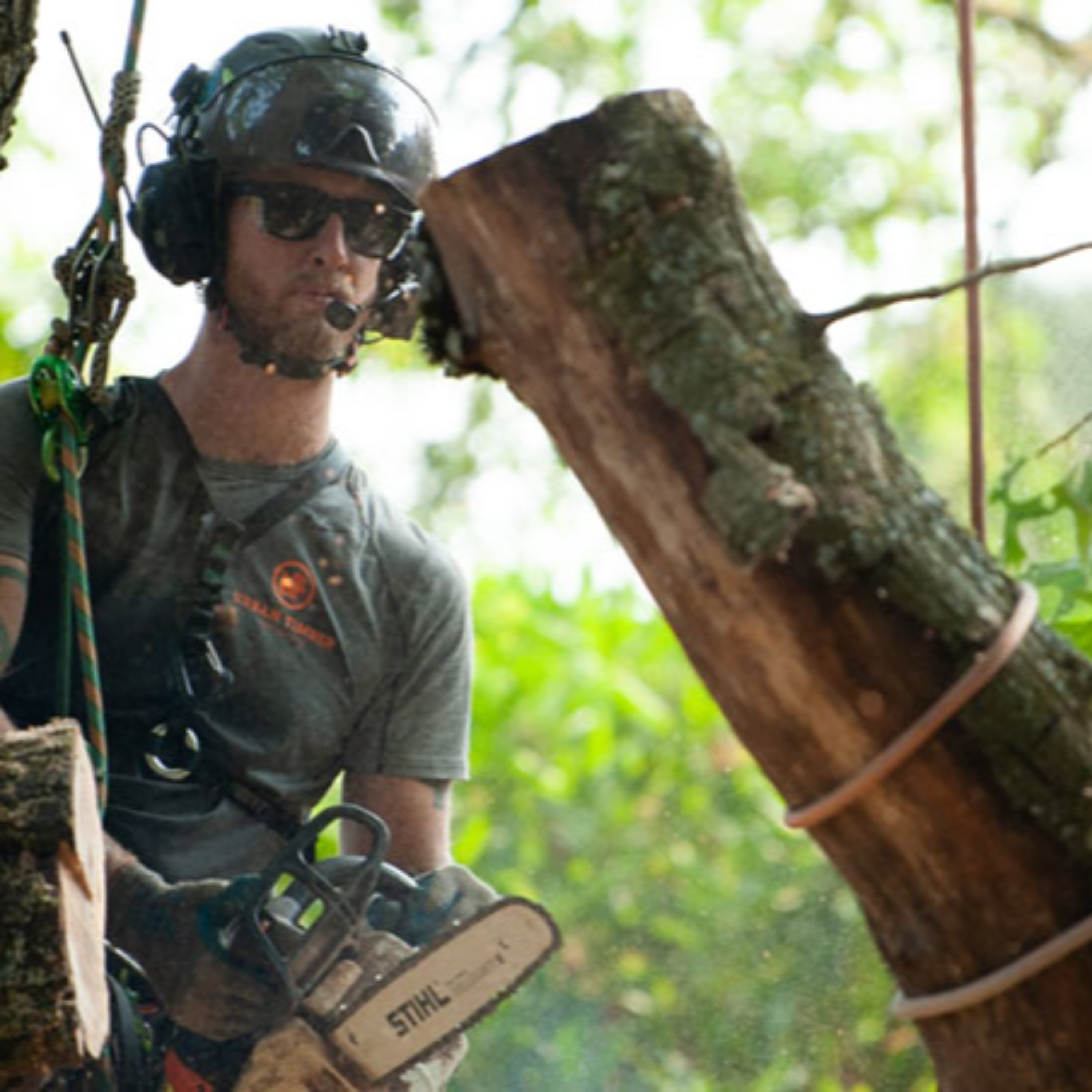 Urban Timber Tree Service podcast artwork