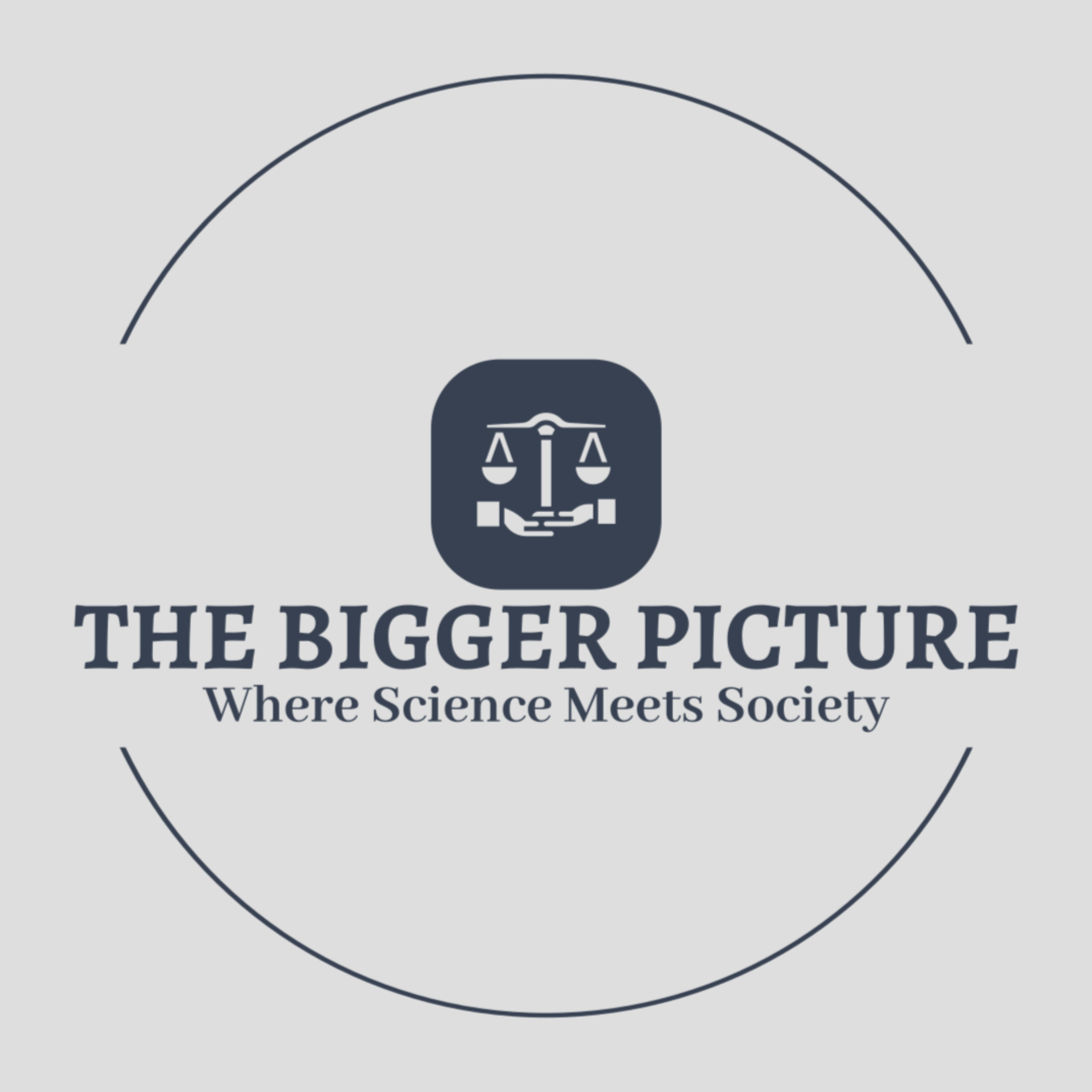 The Bigger Picture