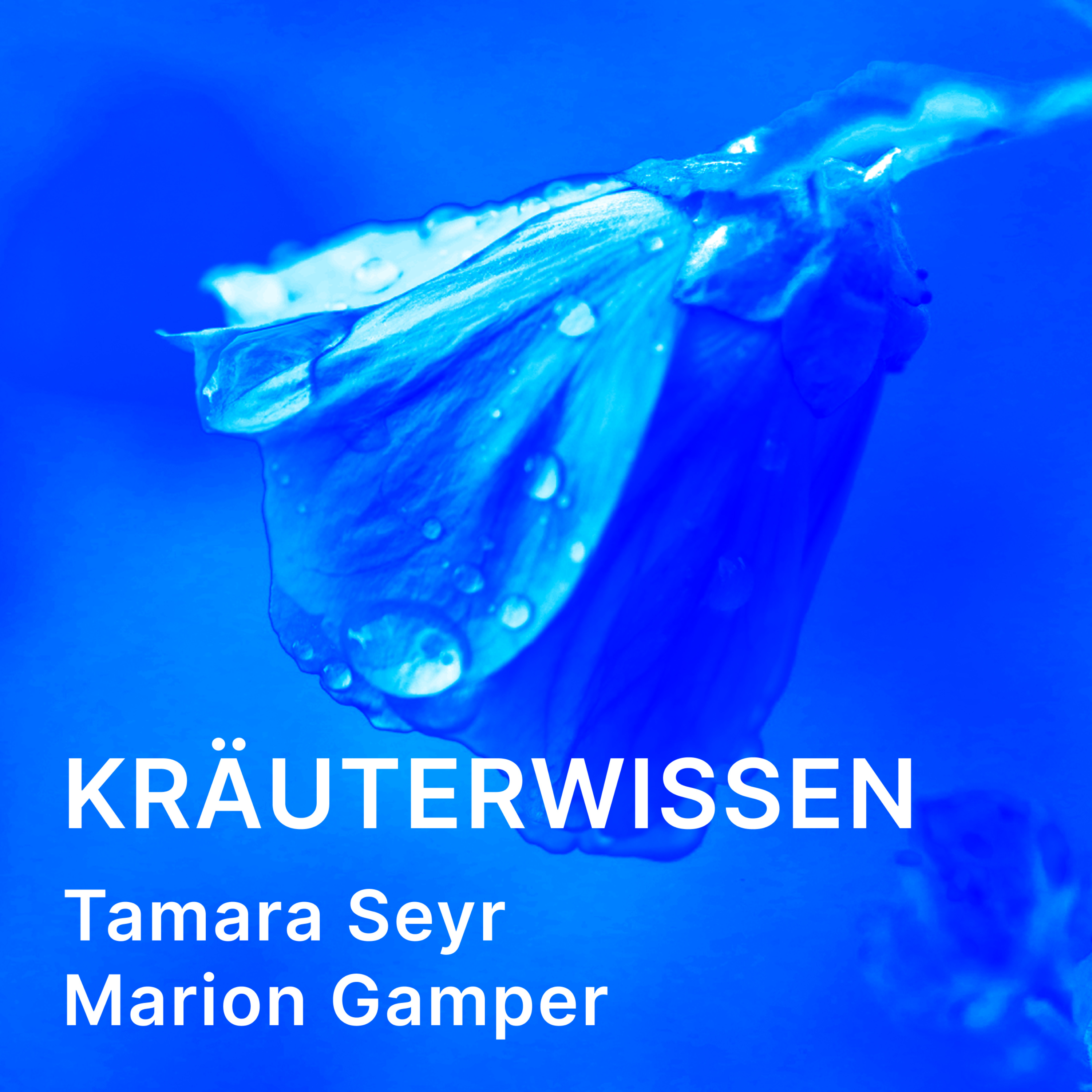 Kräuterwissen - der Podcast
