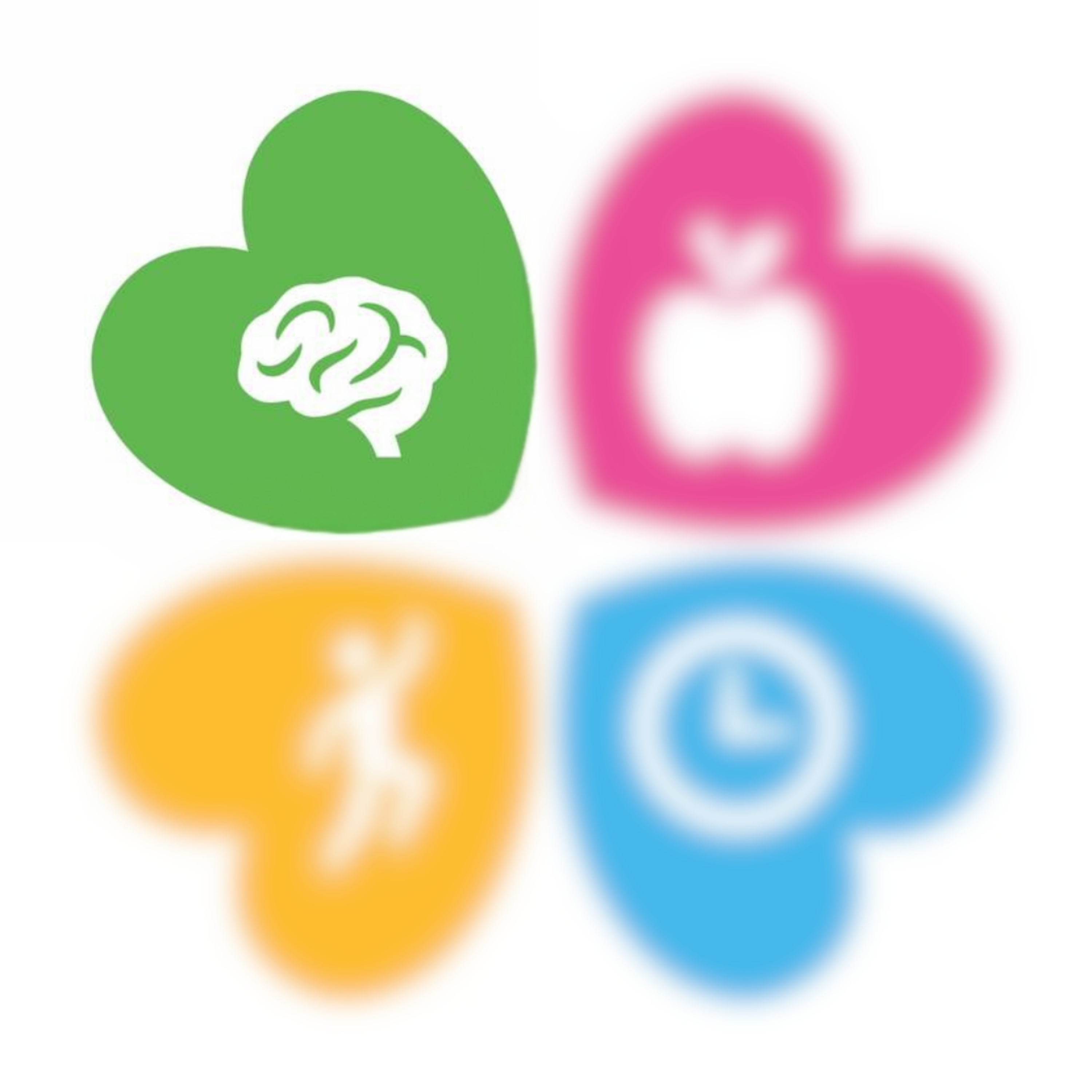 Mentale Kracht Defensie: de HOOFDtaak