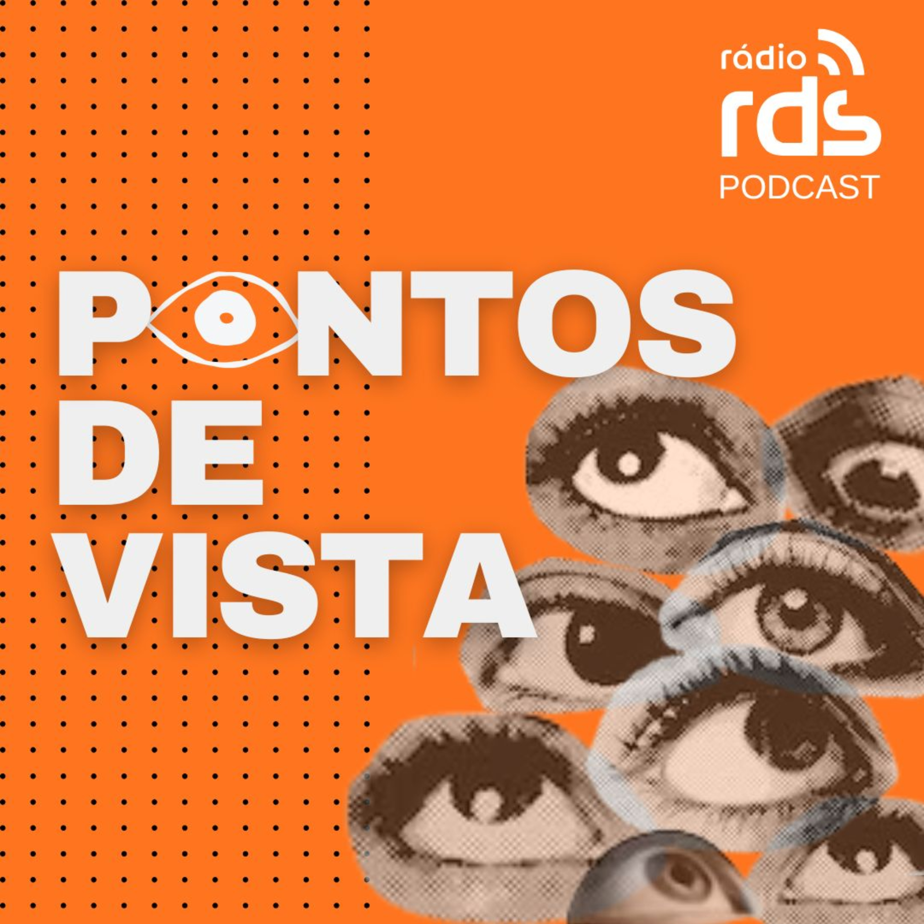Pontos De Vista