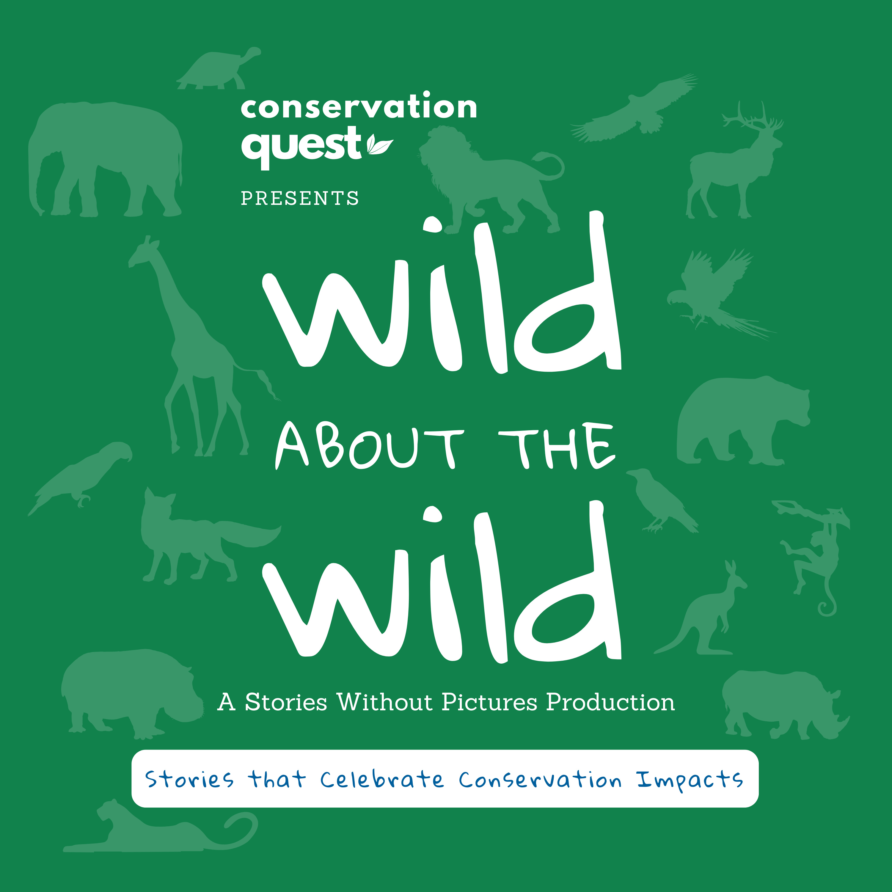 Wild About The Wild