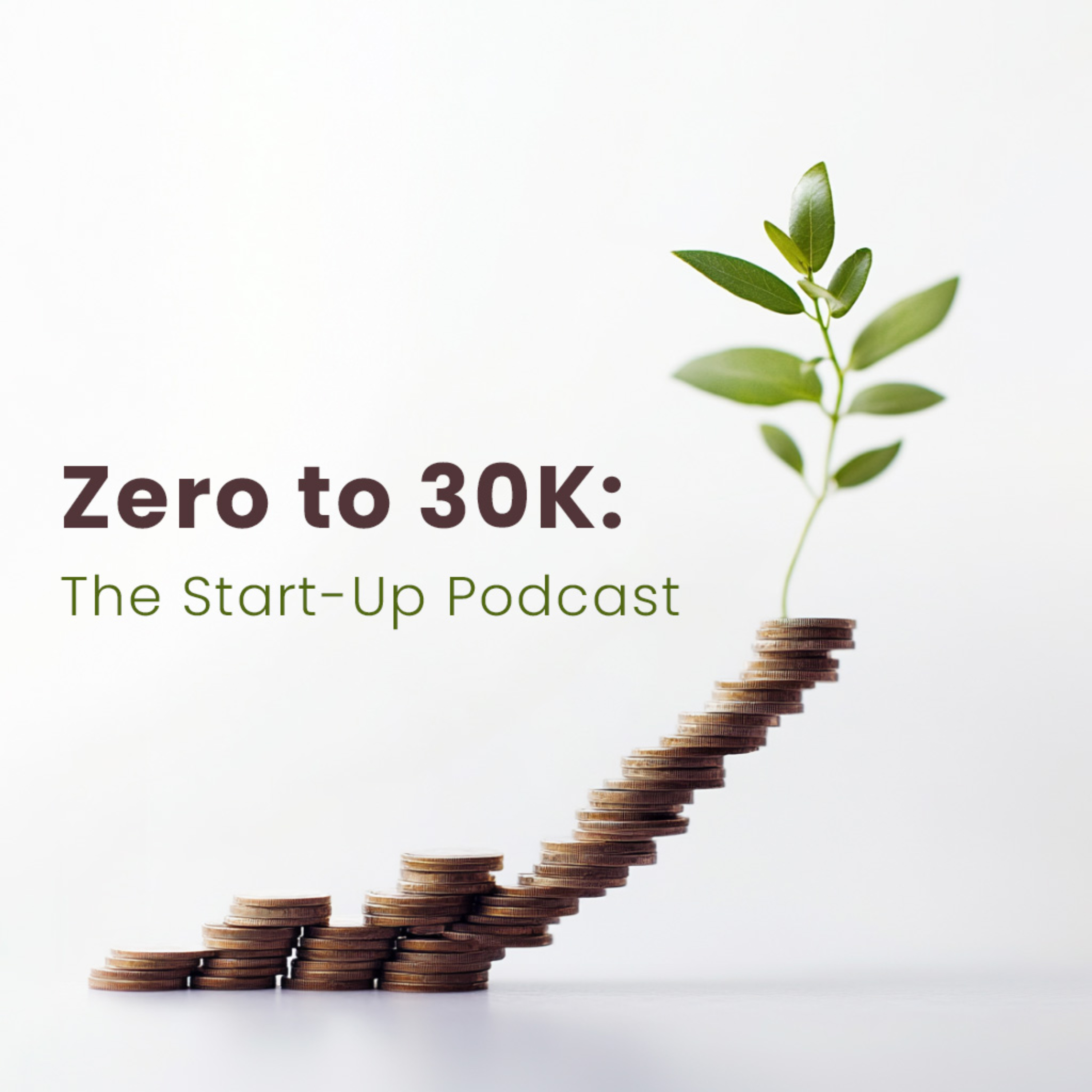 Zero to 30K: The Start-Up Podcast podcast artwork