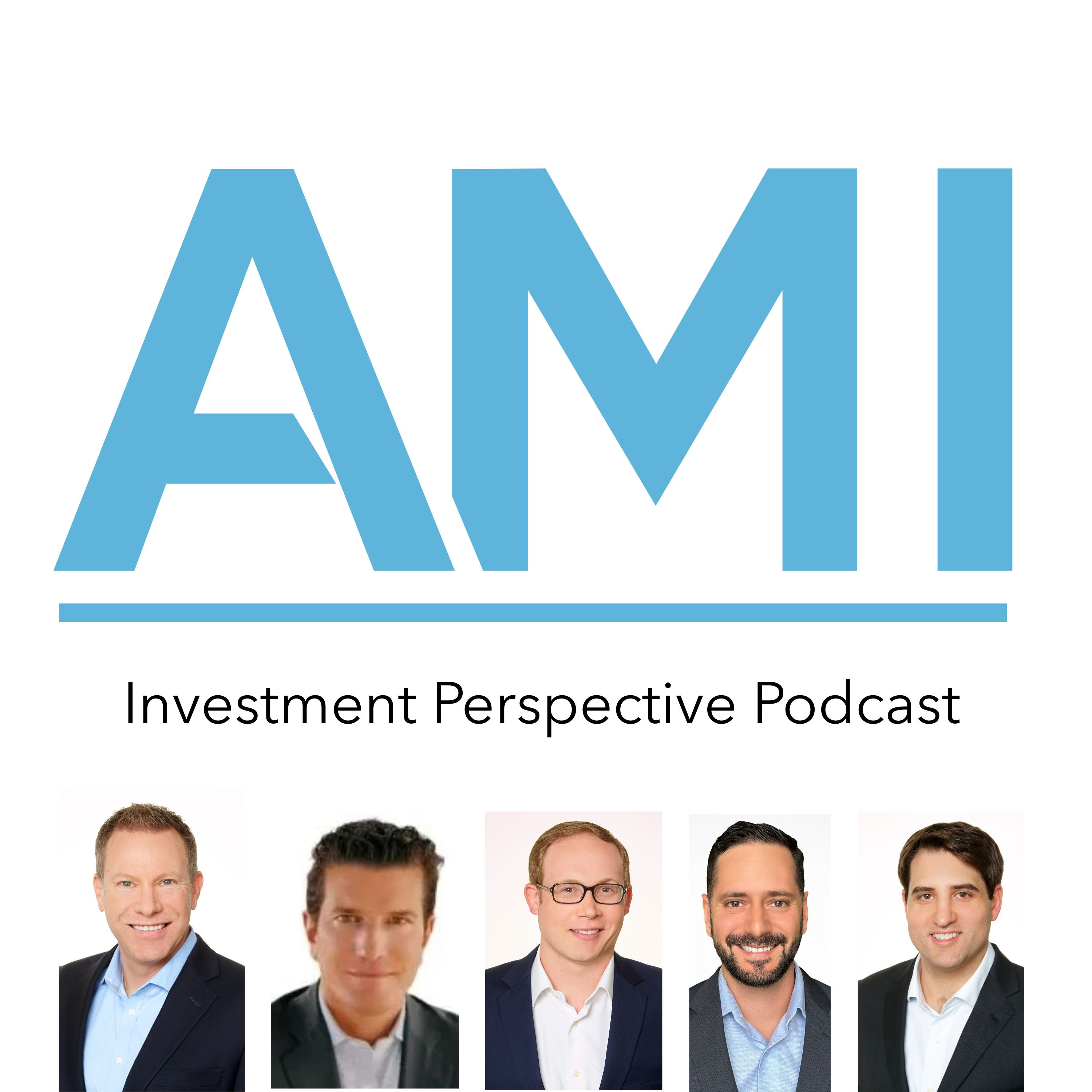 AMI Asset Management Investment Perspective